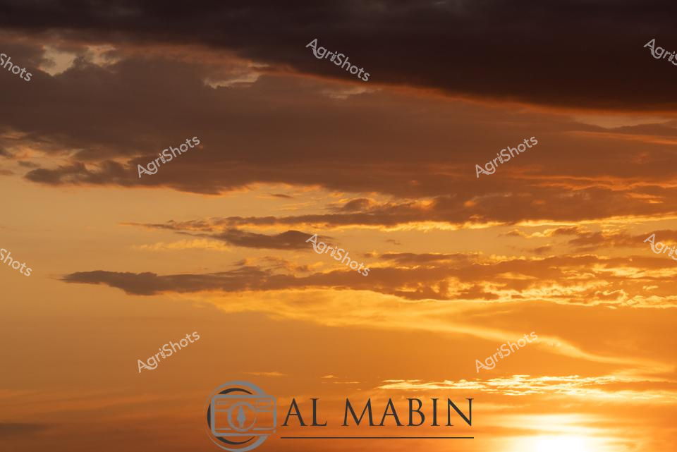 ALMABIN_1675580115_36.png_wp44080.jpg
