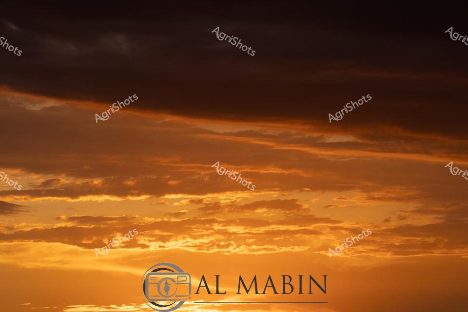 ALMABIN_1675580116_37.png_wp44082.jpg