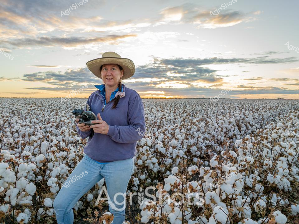 In the golden light of dawn, a rural professional surveys a pristine cotton field stretching to the distant horizon. Wearing a wide-brimmed sun hat, a periwinkle blue jacket, and relaxed-fit denim, the agricultural worker stands amid rows of mature cotton plants heavy with fluffy white bolls. Her posture is confident and attentive, holding a digital device - likely a tablet or GPS - which suggests she is monitoring crop conditions, gathering precision agricultural data, or managing farm operations. The landscape is quintessentially Australian - a vast, flat cotton plantation under a dramatic sky painted with soft cloud formations and warm sunrise tones. Her stance represents the modern agricultural worker: technologically equipped, deeply connected to the land, and using cutting-edge tools to manage complex agricultural systems. The scene captures the intersection of traditional farming and digital innovation, showcasing the sophisticated approach of contemporary agricultural professionals in regions like New South Wales's Walgett Shire.