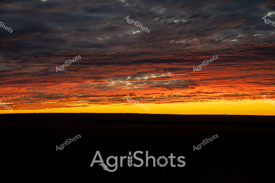 Blazing horizon scorches the morning sky over the West Australian wheatbelt, transforming darkness into an incendiary canvas of burnished orange and molten gold. Dense cloud banks billow across the stratosphere, their layered formations etched in deep russet and charcoal, dramatically framing the explosive sunrise. The landscape below remains a solid silhouette - an infinite black plane dividing earth from the electrifying celestial display, suggesting the vast, uninterrupted expanses of Western Australia's agricultural heartland. Each strata of cloud catches and refracts the emerging sunlight, creating a dramatic gradient from brilliant yellow to deep crimson, reminiscent of the intense atmospheric conditions that shape rural farming environments. This panoramic skyscape captures the raw, elemental beauty of the Australian agricultural landscape, where dawn signals the beginning of another day of critical work on the land. The image resonates with the resilience and quiet drama of rural existence, where each sunrise promises both challenge and possibility.