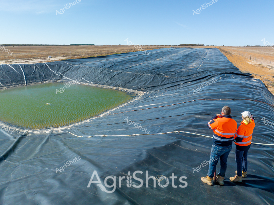 Water Management in the West Australian Wheatbelt

Two agricultural workers survey an expansive water storage dam lined with heavy-duty black geomembrane, stretching across the stark golden-brown landscape of inland Western Australia. The massive reservoir, with its green-tinted water pool and carefully engineered protective sheeting, represents critical infrastructure for rural drought resilience. Wearing high-visibility orange safety vests, the workers stand together on the dam's surface, carefully examining the water containment system against the backdrop of a flat, arid horizon. The blue sky and rigid fencelines emphasize the engineered precision of this agricultural water management solution, highlighting the technical expertise required to sustain farming operations in challenging environmental conditions. The sharp contrast between the dark water infrastructure and the surrounding pale earth underscores the strategic importance of water conservation in Australian agricultural systems. This image captures the intersection of technological innovation and agricultural survival in one of the world's most demanding farming environments.