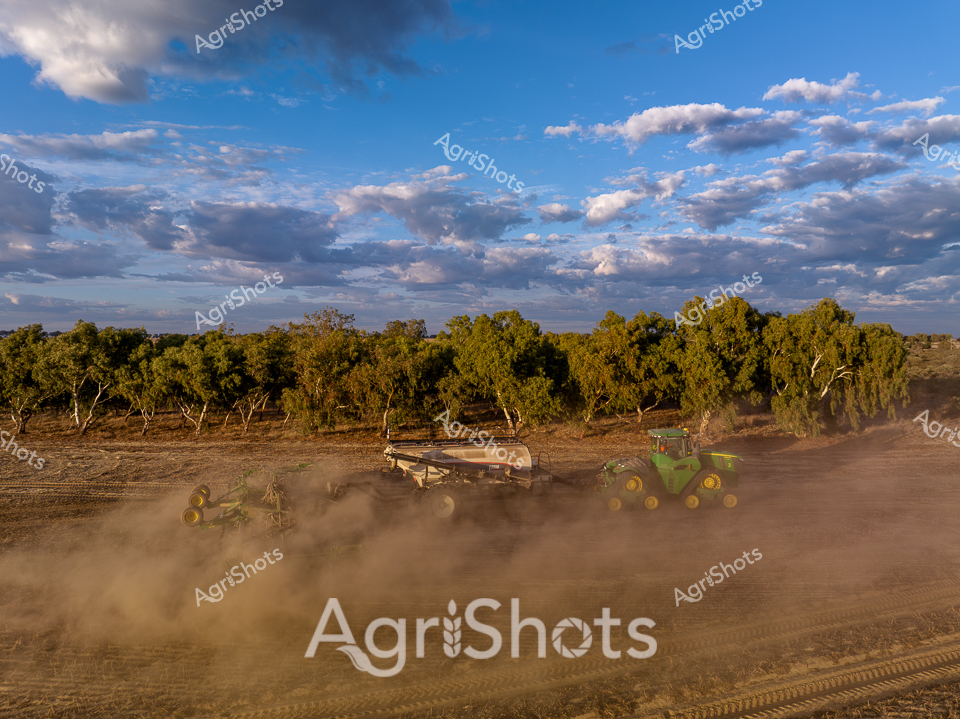 Golden afternoon sunlight bathes a West Australian agricultural landscape as a John Deere tractor and seeding equipment prepare a dusty olive grove for planting. Billowing clouds drift across a brilliant blue sky, casting dynamic shadows over the undulating terrain while the powerful green machinery kicks up a rich, earthy dust cloud. The precision agricultural equipment moves methodically across the dry ground, its yellow and green components stark against the natural browns and greens of the surrounding landscape. Agricultural machinery tracks create clean lines through the textured soil, revealing the meticulous process of crop preparation in this expansive rural setting. The scene captures the essence of modern broad-acre farming - a blend of technological sophistication and timeless connection to the land, where advanced equipment transforms rugged terrain into potential agricultural productivity. This panoramic image showcases the scale and technical mastery of contemporary Australian agricultural practices, highlighting the remarkable intersection of machinery, landscape, and agricultural expertise.