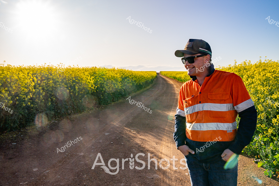 Canola Fields at Dawn: Rural Agricultural Landscape

A high-visibility orange safety vest gleams against the golden canola fields stretching to the horizon. A rural agricultural worker stands confidently on a dirt track, sunlight filtering through the brilliant yellow crop blooms that line both sides of the path. Reflective safety stripes on his workwear highlight the importance of visibility and protection in agricultural environments. Wearing sunglasses and a cap, the worker surveys the landscape with a relaxed, professional demeanor, embodying the spirit of modern Australian farming. The early morning light casts a warm glow across the meticulously maintained canola plantation, showcasing the precision and care of contemporary agricultural practices. This image captures the intersection of agricultural innovation, workplace safety, and the stunning natural beauty of rural farming landscapes.