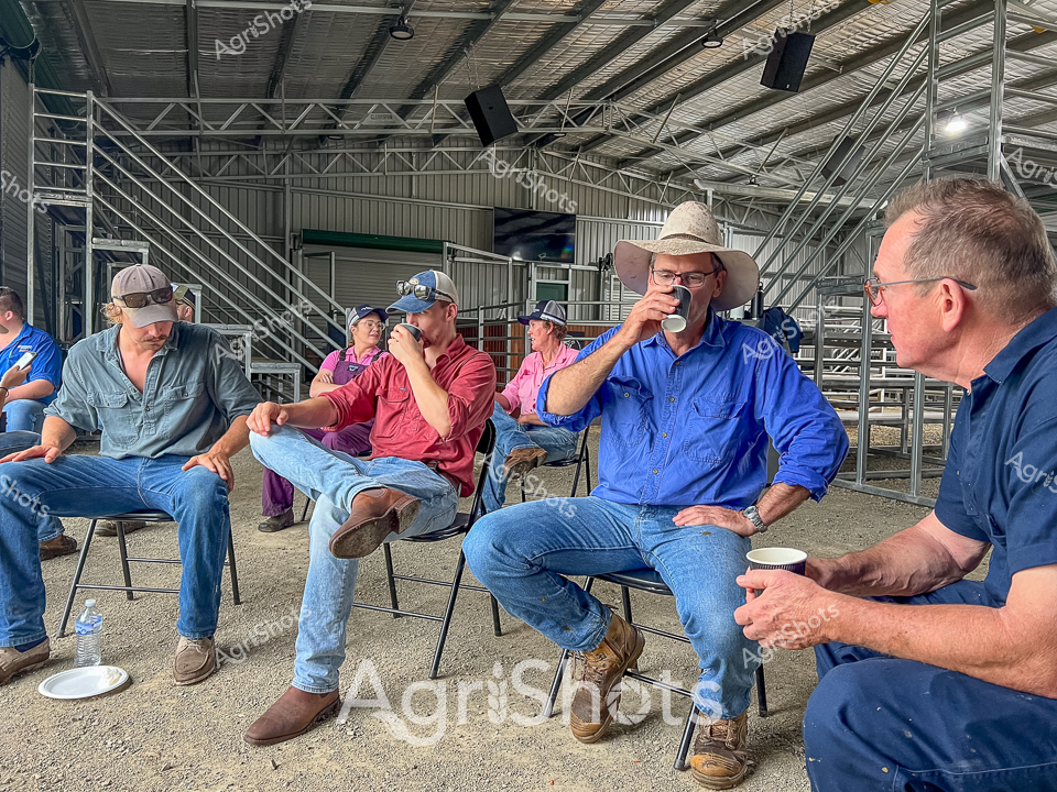Rural training session unfolds in a steel-framed cattle yard, where agricultural professionals gather in a relaxed learning environment. Five farmers in blue, pink, and grey work shirts sit casually on folding chairs, each wearing a distinctive wide-brimmed or baseball cap typical of Queensland's agricultural regions. The group appears engaged in a focused discussion, with several holding takeaway coffee cups, suggesting an informal yet purposeful meeting about livestock management or farm technologies.

The industrial setting - with its corrugated metal roof and steel livestock infrastructure - provides a robust backdrop to this professional development moment. Dressed in classic rural workwear of denim jeans and sturdy boots, these farmers represent the backbone of agricultural innovation in the South Burnett region. Their body language suggests collaborative learning, with relaxed postures and attentive positioning indicating a shared commitment to agricultural knowledge exchange.

Soft natural light filters through the shed, casting subtle shadows and highlighting the practical, no-nonsense approach of these rural professionals. The scene captures the essence of modern agricultural education - blending traditional farming wisdom with contemporary training techniques in a quintessential Australian rural setting.