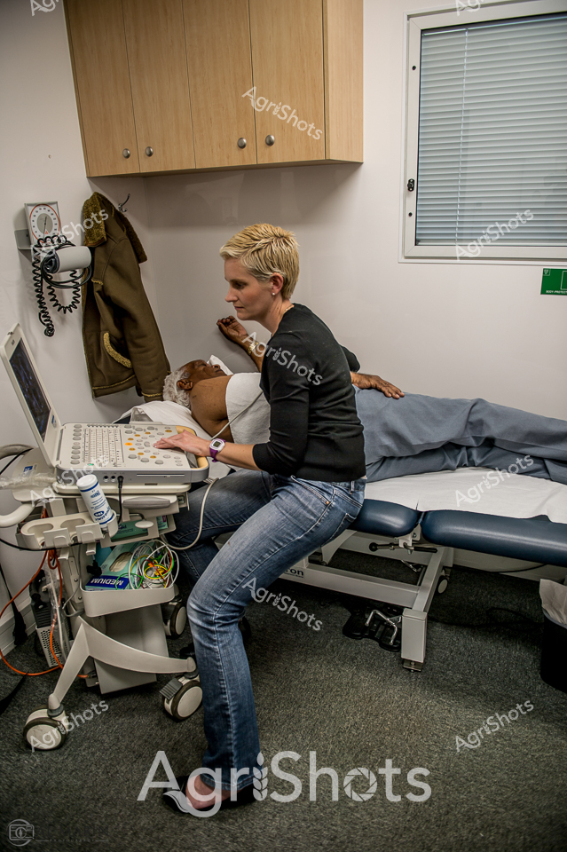 Ultrasound technician in a medical setting carefully operates specialized diagnostic equipment while examining a patient. Crisp blonde hair frames her focused profile as she leans towards the ultrasound machine, her black top and blue denim jeans presenting a professional yet comfortable appearance. The clinical room features neutral tones - light wood cabinetry, grey medical examination table, and muted carpeting - creating a calm, controlled environment. Precision medical technology stands prominently on a mobile cart, with various cables and instruments suggesting advanced diagnostic capabilities. Soft natural light filters through venetian blinds, casting gentle shadows across the examination space. The scene communicates quiet concentration and expert medical care, highlighting the technical skill and compassionate approach of healthcare professionals in rural and regional settings.