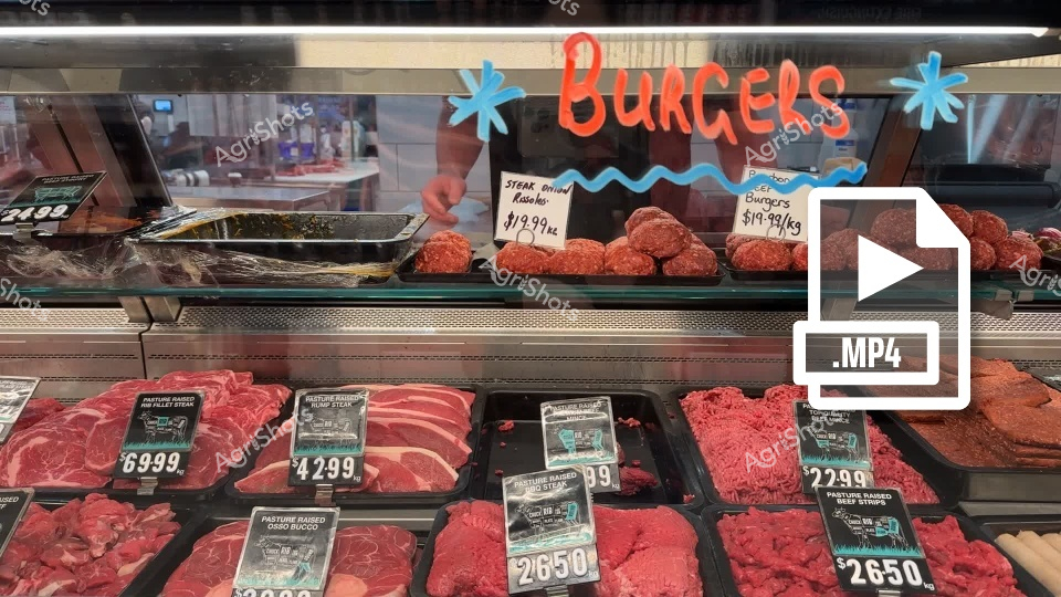 A vibrant butcher shop display showcases an array of fresh, raw meat cuts with prominent price labels. The refrigerated case features various beef selections, including steaks and ground meat, with a playful "BURGERS" sign decorated with blue and red flourishes. The image captures the typical winter selection of a Queensland butcher shop, highlighting local pasture-raised meats from the Darling Downs region.