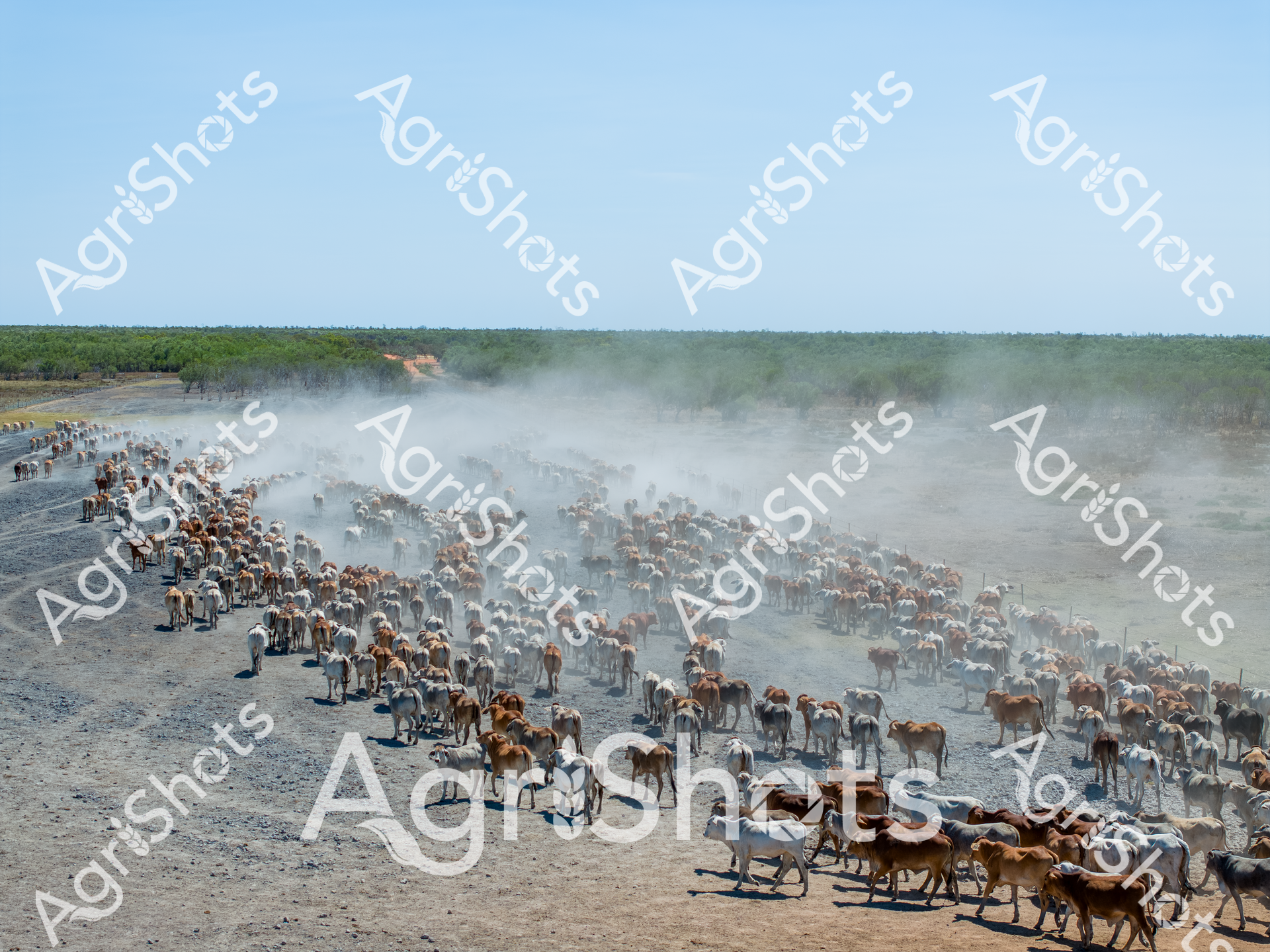 ALMABIN_1789526107_8038590-scaled-watermarked-image-1.png