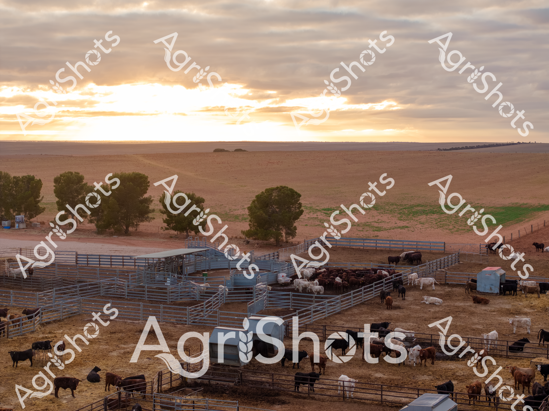 ALMABIN_1816579413_2263938-scaled-watermarked-1.png