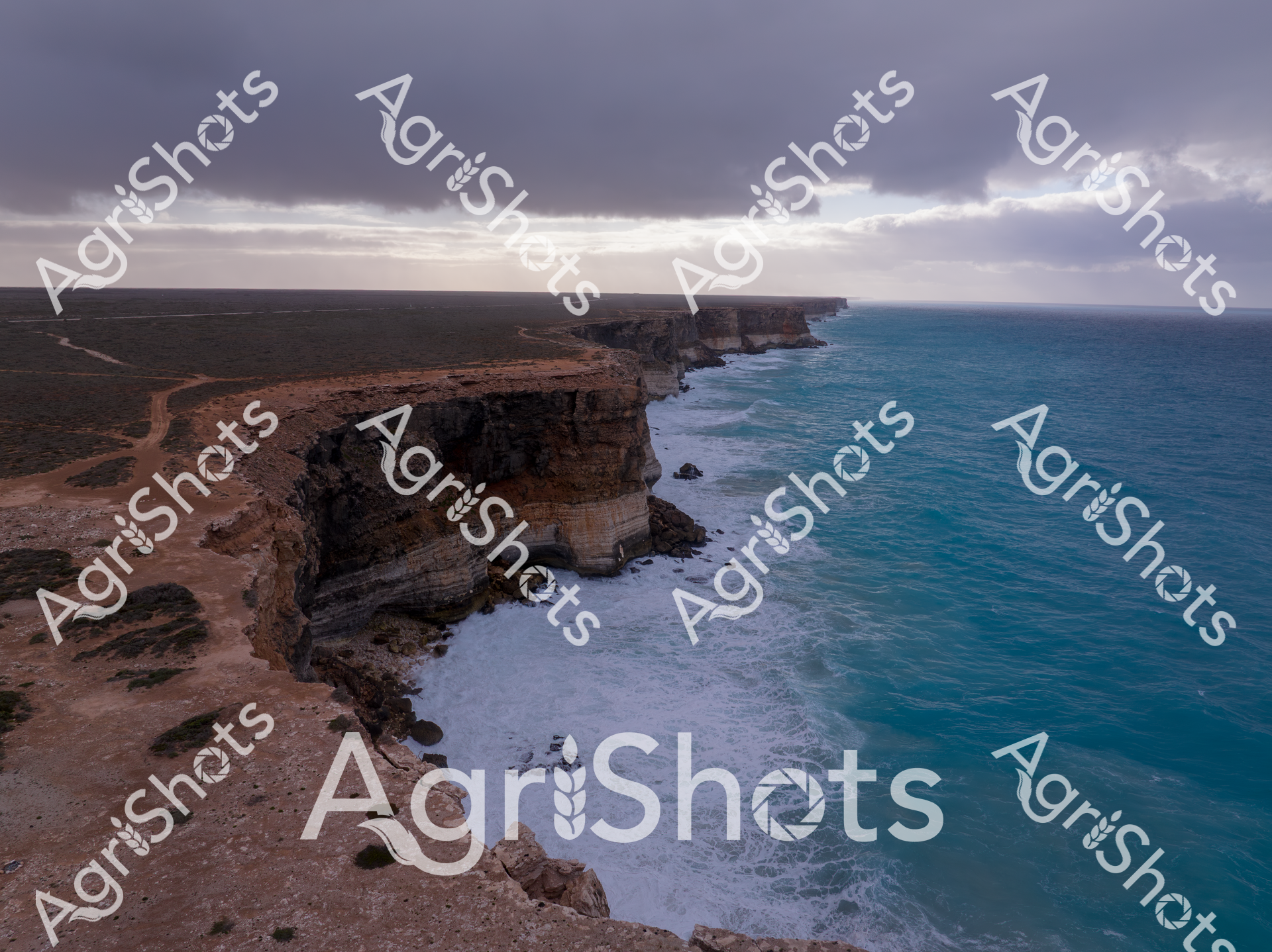 ALMABIN_1866497839_4411452-scaled-watermarked-image-1.png