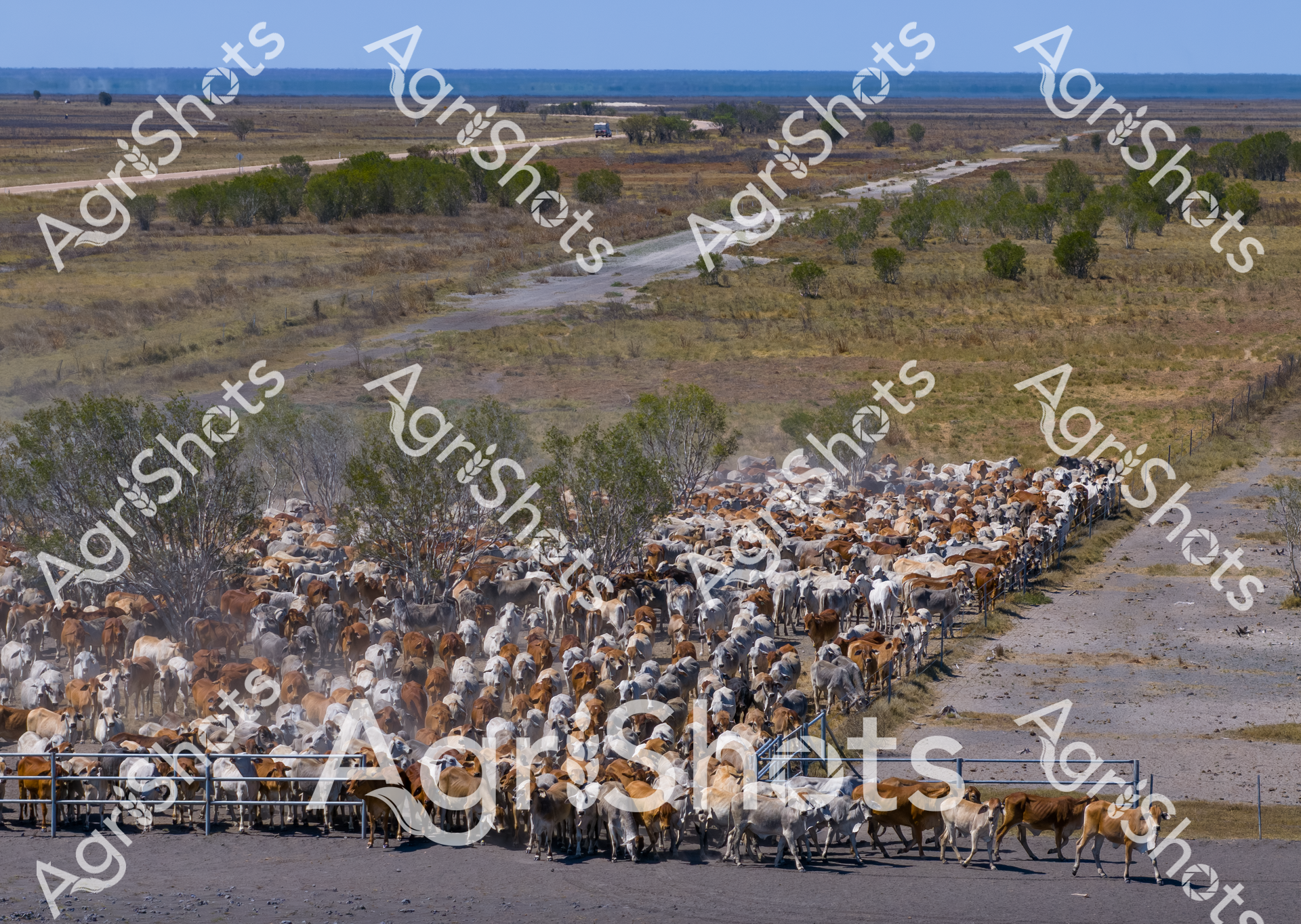 ALMABIN_1991426932_1288700-scaled-watermarked-image-1.png