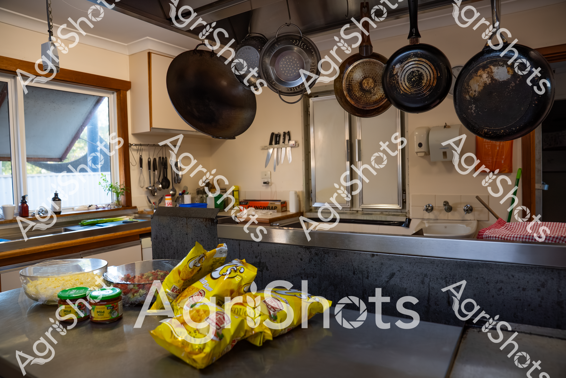 ALMABIN_2426256342_6760199-scaled-watermarked-image-1.png