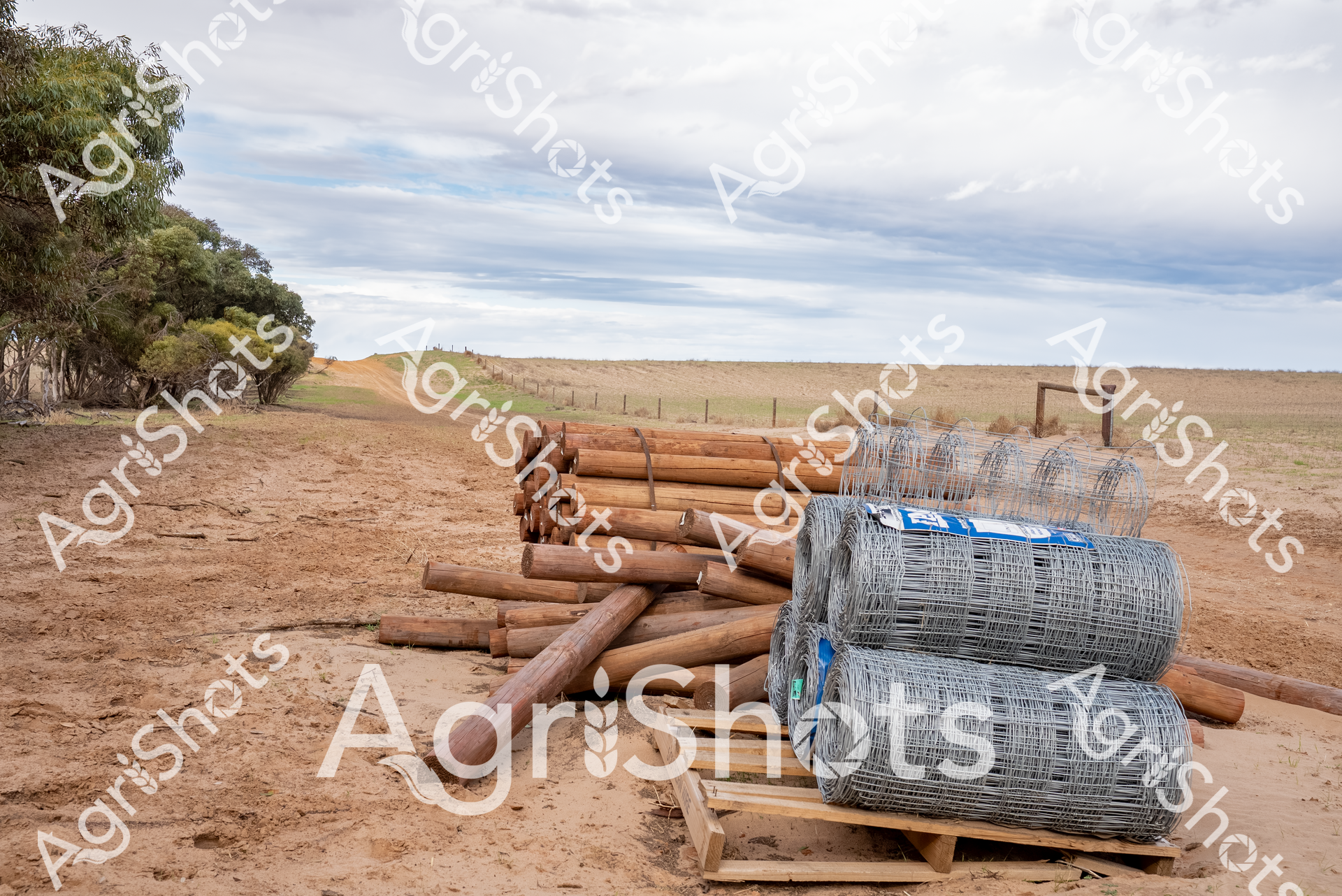 ALMABIN_2475138132_1520951-scaled-watermarked-1.png