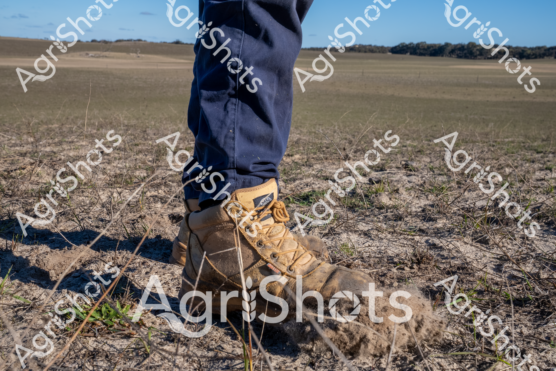 ALMABIN_2520438544_0992434-scaled-watermarked-1.png