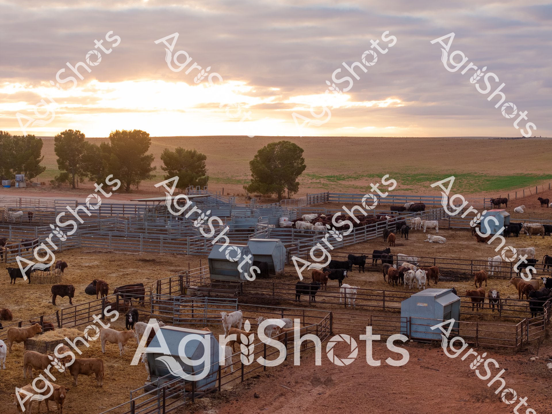 ALMABIN_2526843370_8511502-scaled-watermarked-1.png