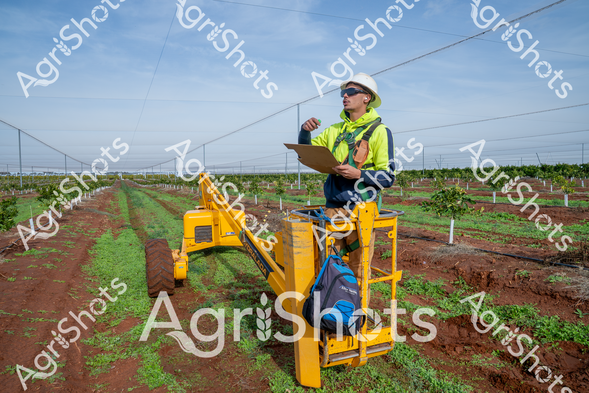 Precision agriculture comes to life in this vibrant orchard scene, where a skilled agricultural technician operates a yellow boom lift amid meticulously arranged fruit tree rows. Dressed in high-visibility safety yellow and navy work attire, with a white hard hat and protective sunglasses, the worker carefully monitors crop development on a clipboard while positioned on the specialized mobile platform. The orderly plantation stretches across rich red-brown soil, with young trees supported by precise wire trellising systems, indicating a modern, structured approach to fruit cultivation. Verdant green ground cover between the rows suggests careful soil management and sustainable farming practices. The bright yellow equipment stands in striking contrast to the earthy landscape, symbolizing the intersection of technological innovation and agricultural tradition. Under a soft blue sky, this image captures the methodical, data-driven nature of contemporary agricultural management, where every tree is tracked, measured, and optimized for maximum productivity.