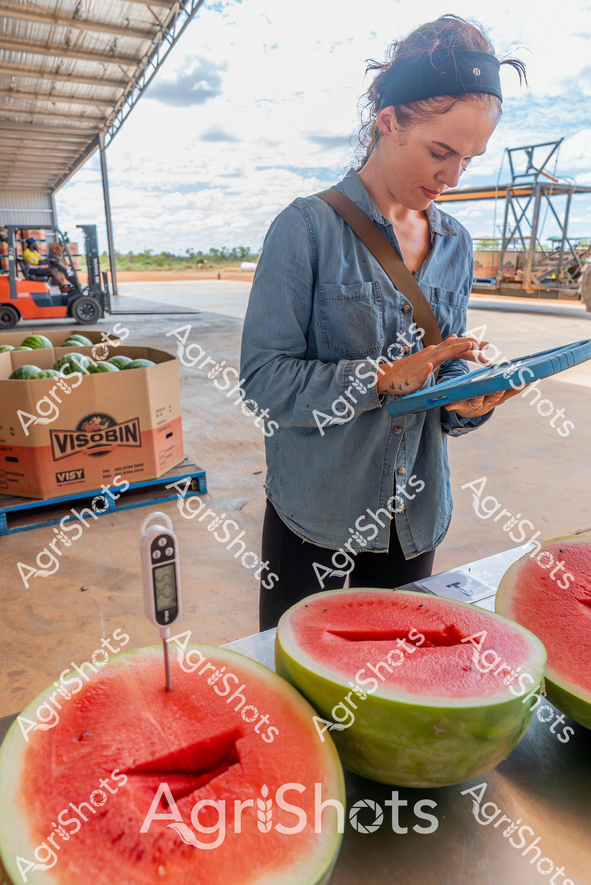 ALMABIN_2529019326_8419500-scaled-watermarked-image-1.png