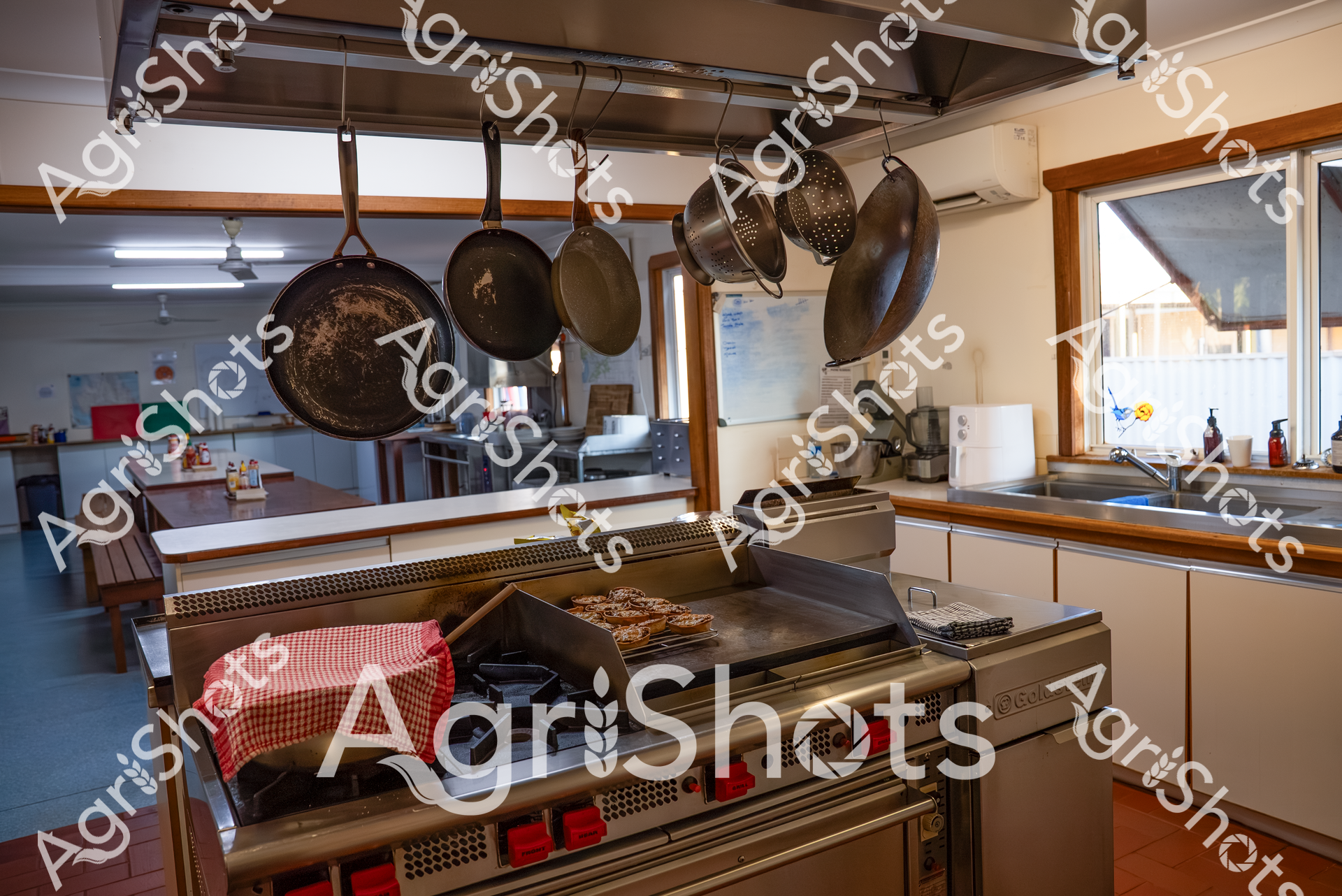 ALMABIN_2735694129_3239199-scaled-watermarked-image-1.png