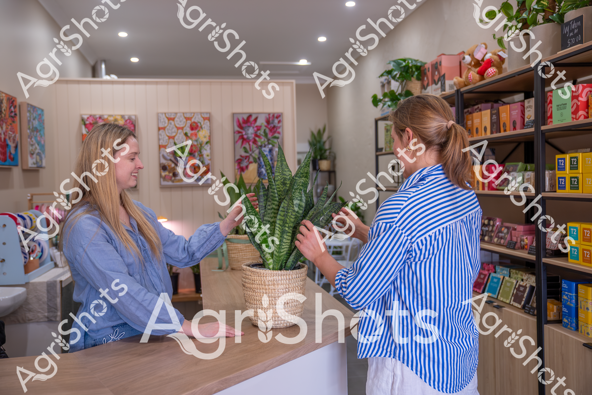Two women in a boutique shop, one in a blue shirt and another in a blue and white striped shirt, are arranging a potted plant with green leaves in a woven basket. The store has colorful artwork on the walls, shelves with packaged goods, and a clean, welcoming atmosphere.