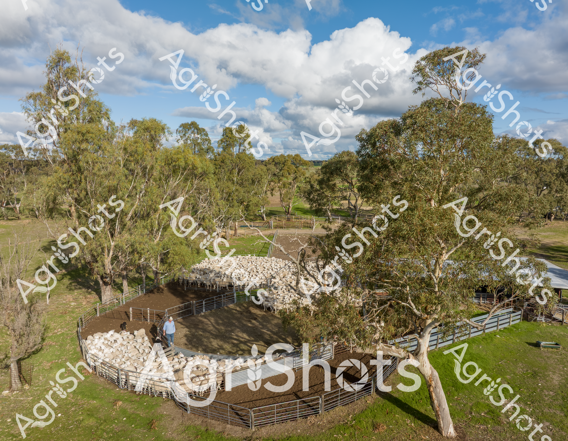 ALMABIN_2780347254_0100312-scaled-watermarked-1.png