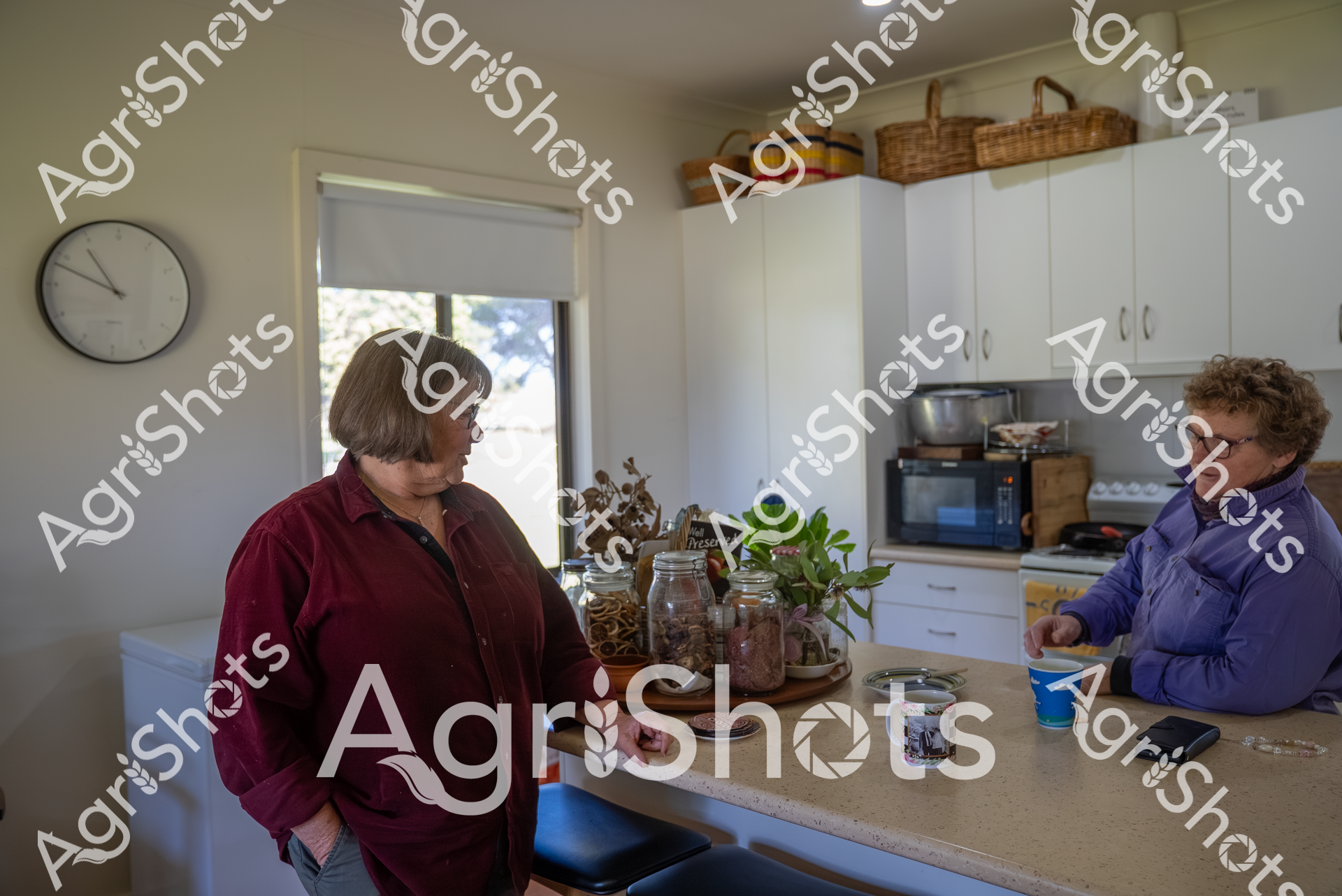 ALMABIN_2995219324_4390087-scaled-watermarked-image-1.png