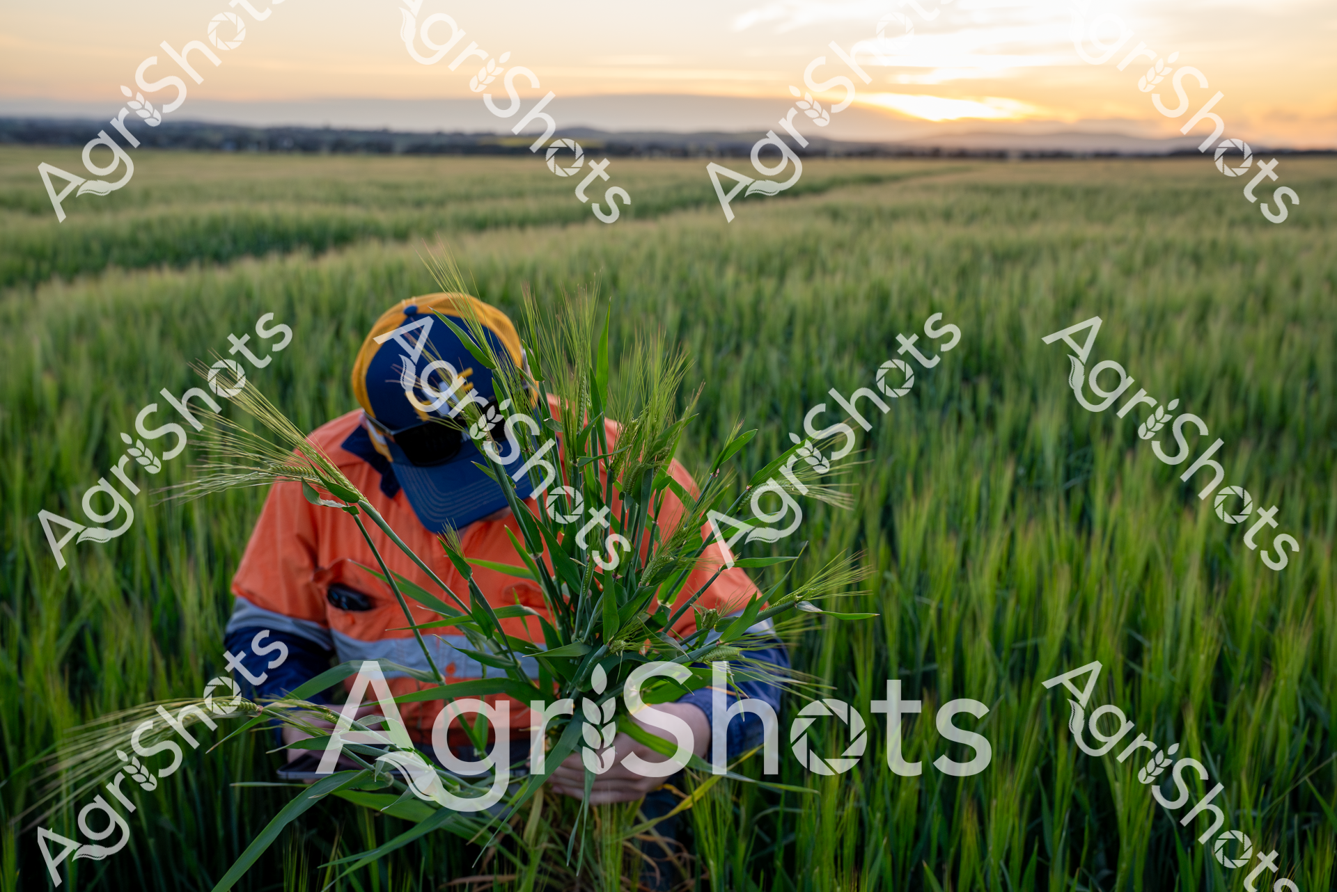 ALMABIN_3068246806_8278803-scaled-watermarked-image-1.png