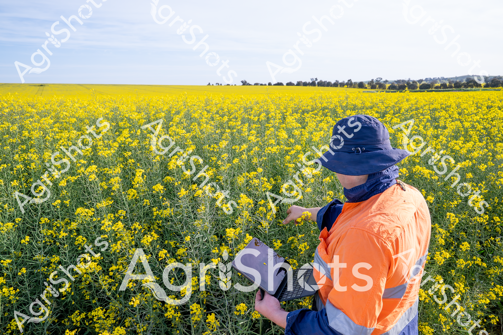 ALMABIN_3226725155_0977690-scaled-watermarked-image-1.png