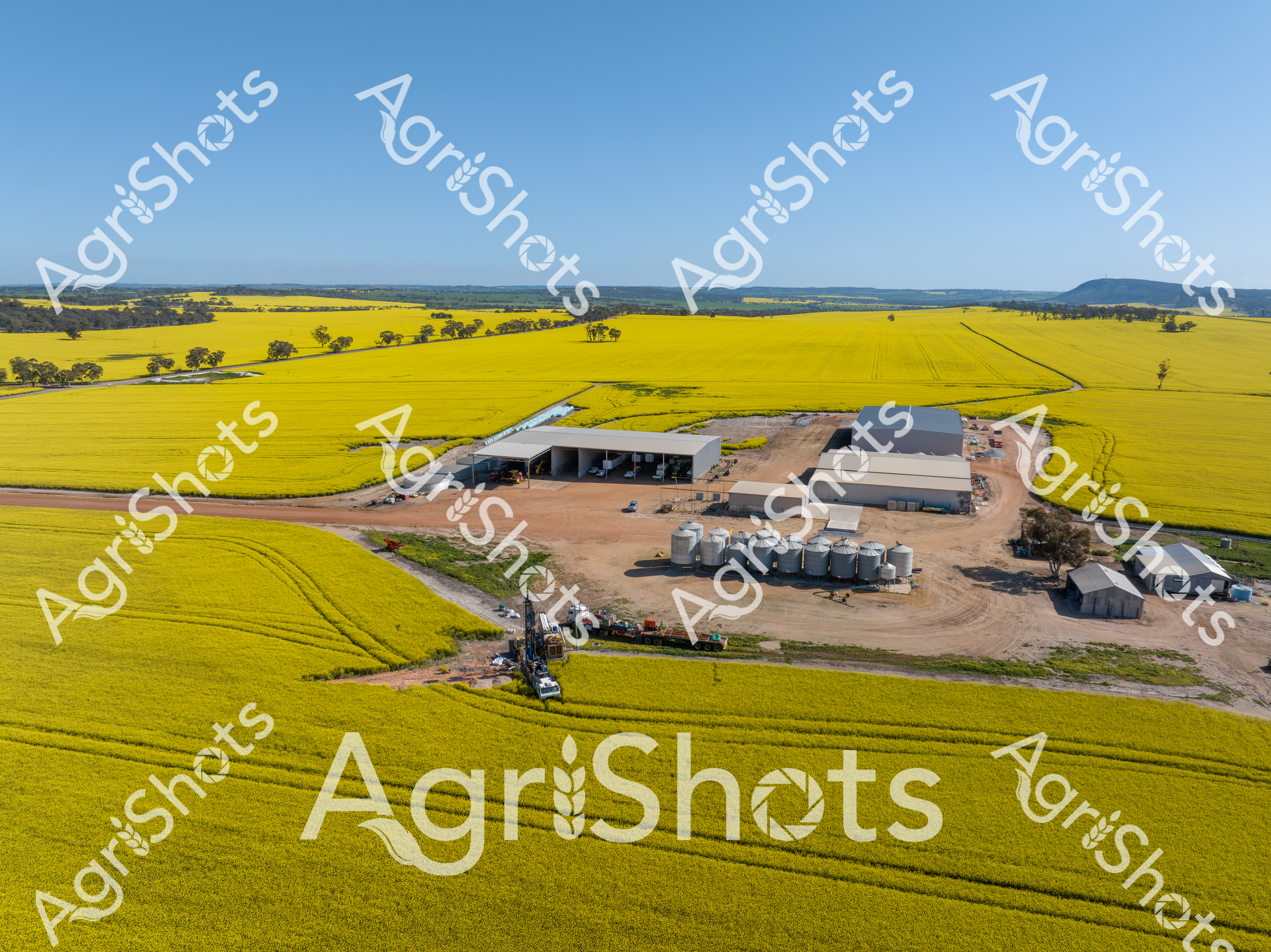 Aerial view of a farming property during canola flowering season, showcasing bright yellow crop fields surrounding a rural agricultural complex with storage sheds and grain silos. The landscape features neatly planted fields, scattered trees, and distant hills under a clear blue sky, highlighting the expansive and organized nature of modern agricultural operations.