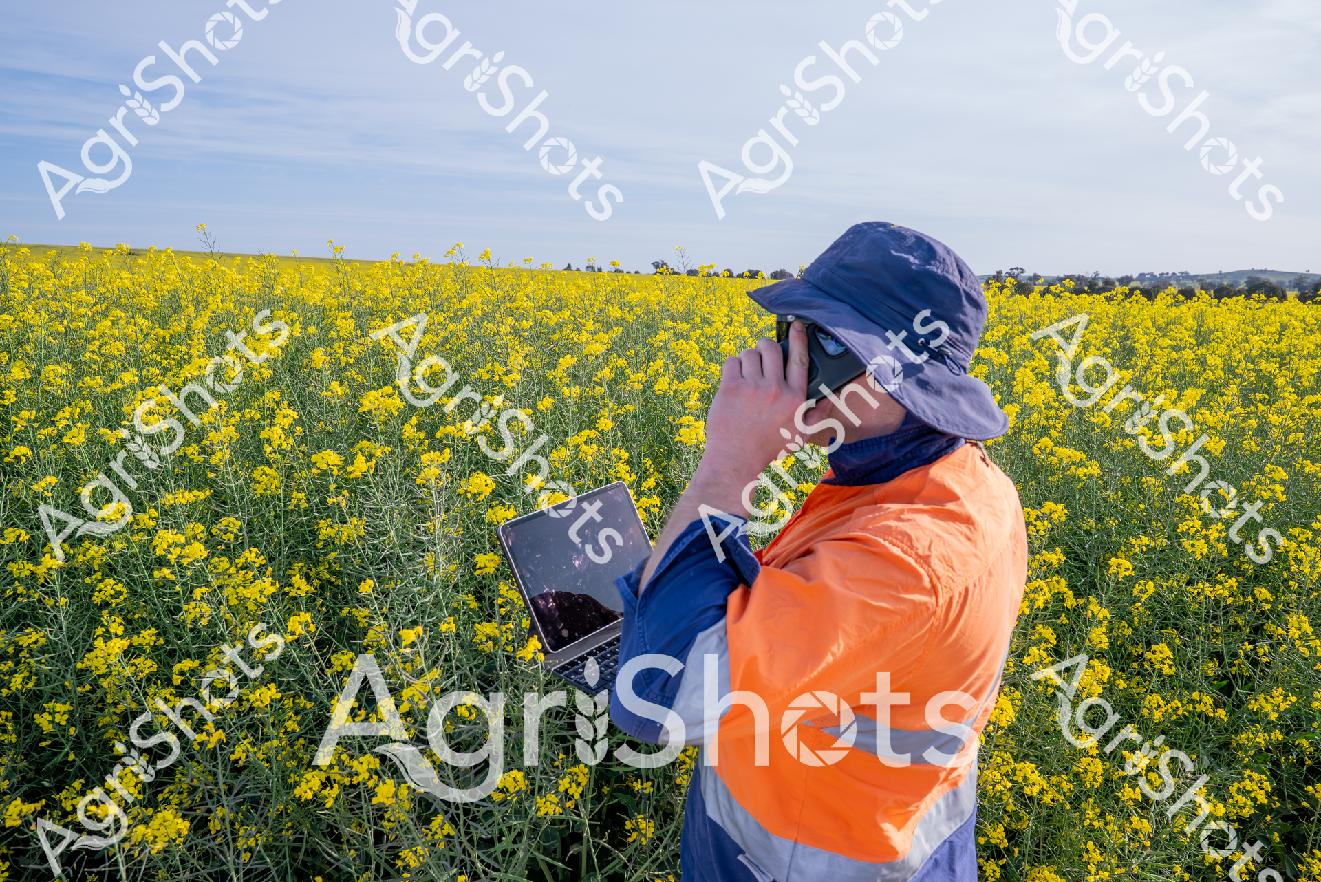 ALMABIN_3363572572_5947312-scaled-watermarked-image-1.png