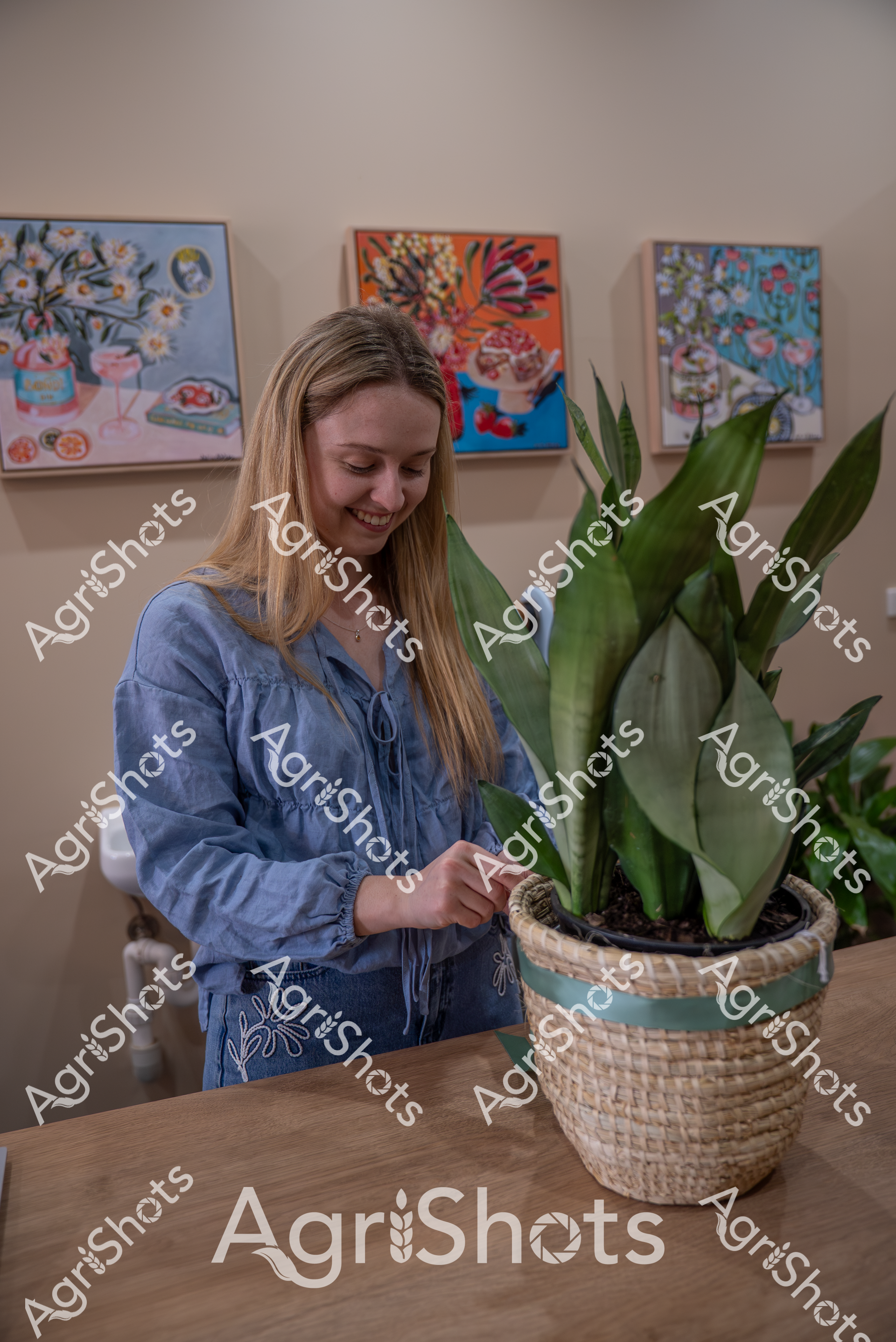 A woman in a blue blouse tends to a potted green plant with large leaves, standing in front of colorful floral artwork. She appears relaxed and focused, gently touching the plant while smiling softly in a warm, artistic interior setting.