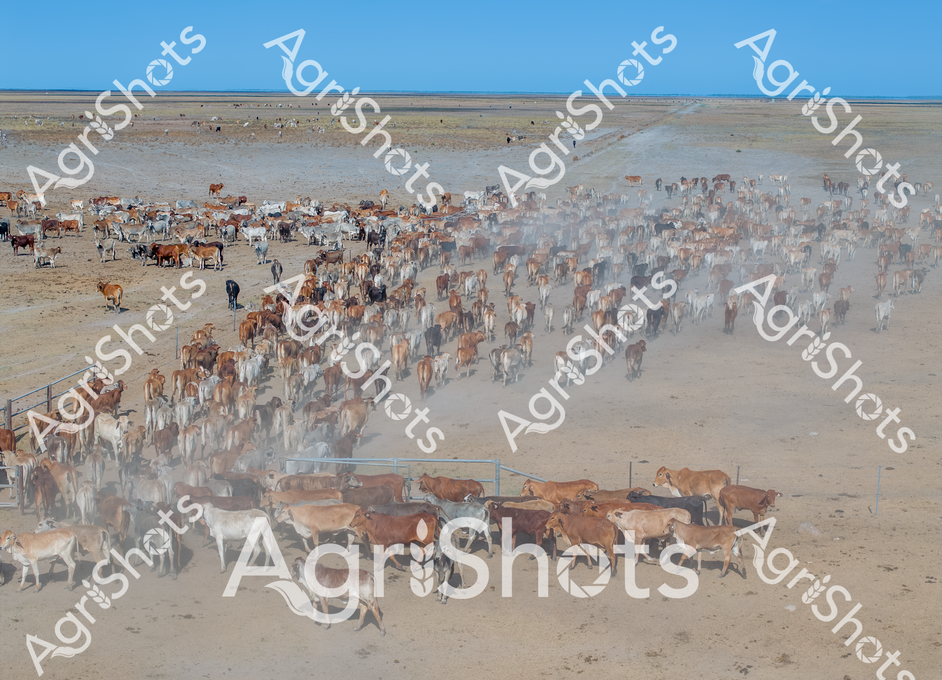 ALMABIN_3440742632_2464121-scaled-watermarked-image-1.png
