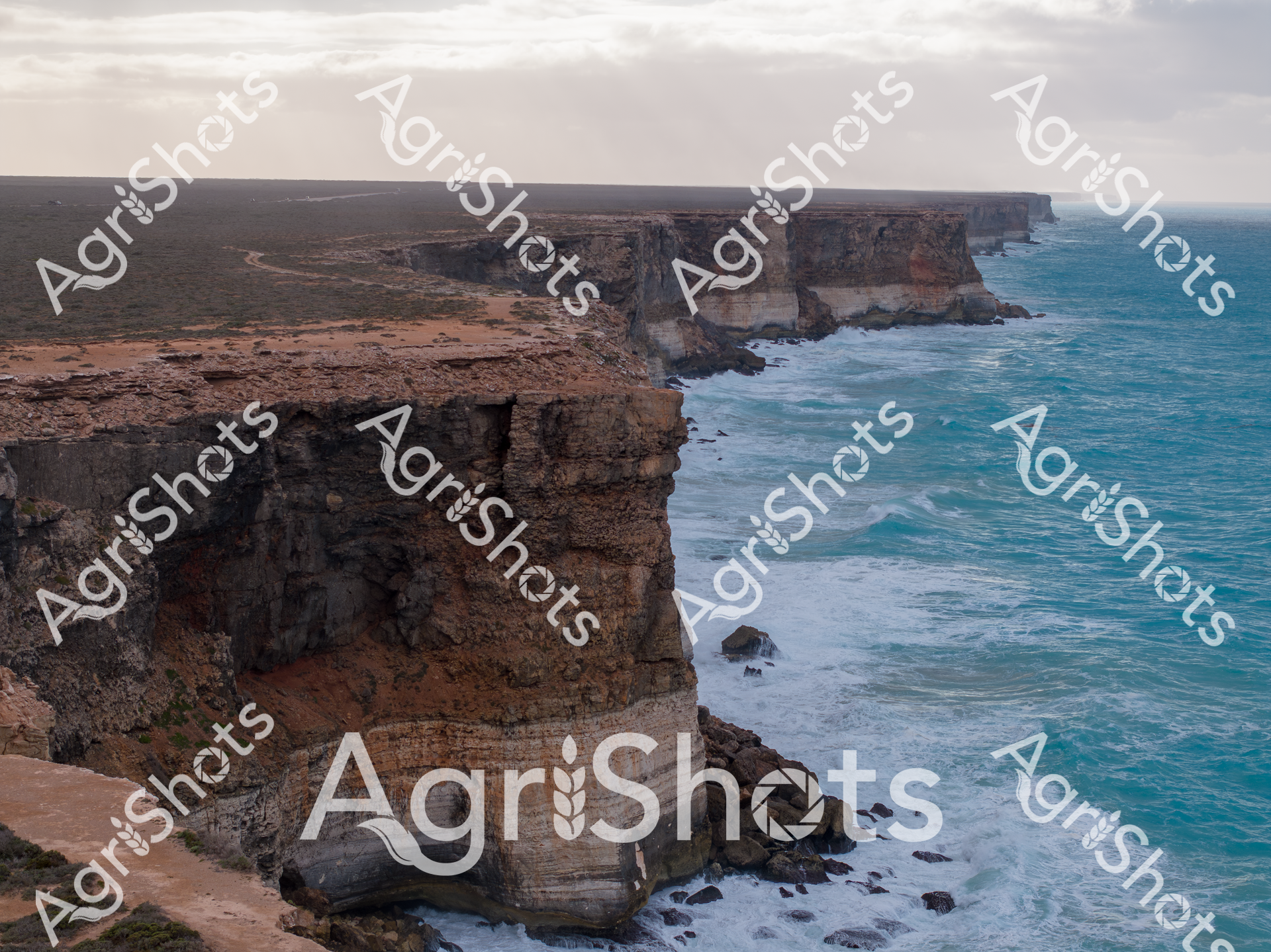 ALMABIN_3527564100_3959467-scaled-watermarked-image-1.png