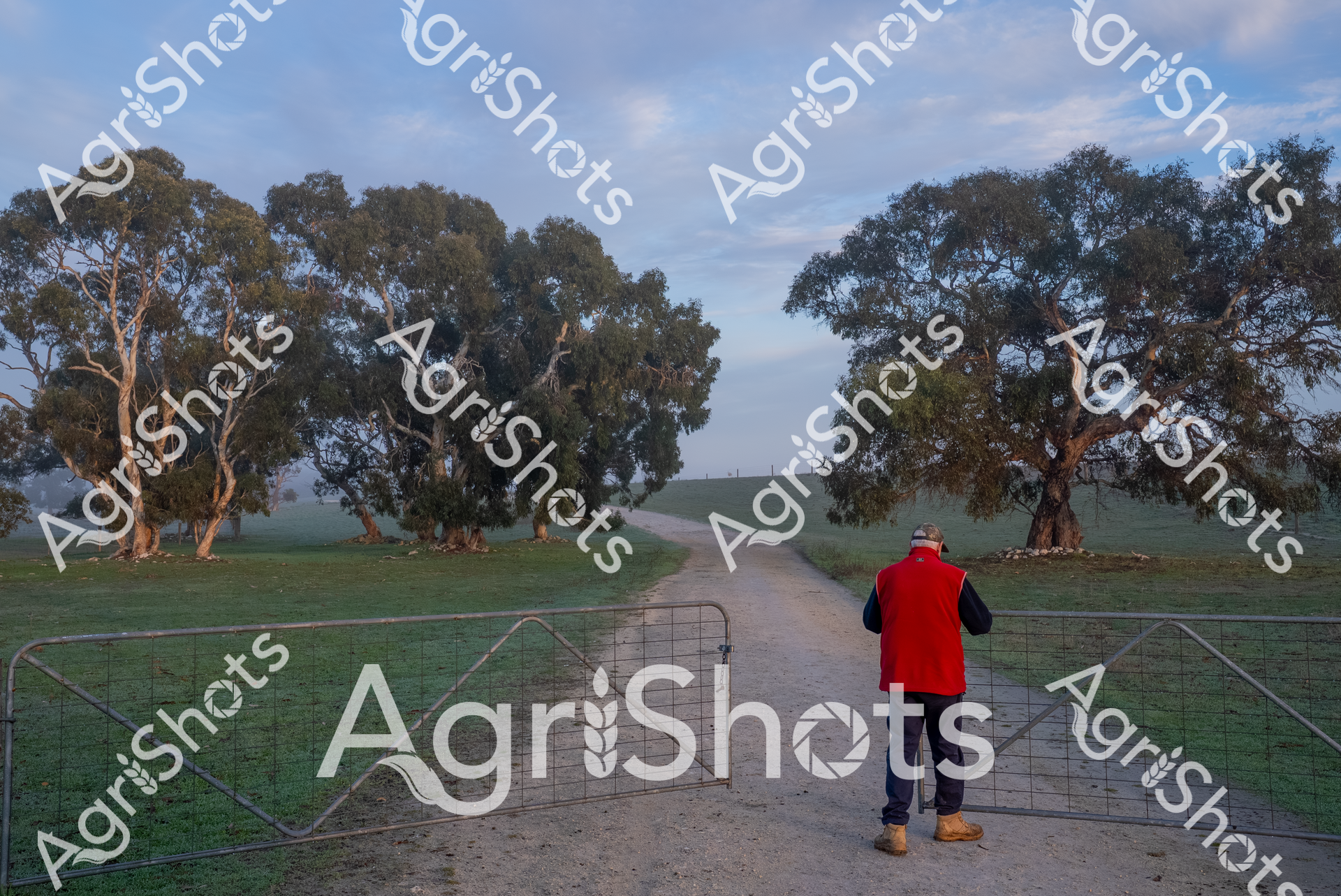 ALMABIN_3632501448_1729672-scaled-watermarked-image-1.png