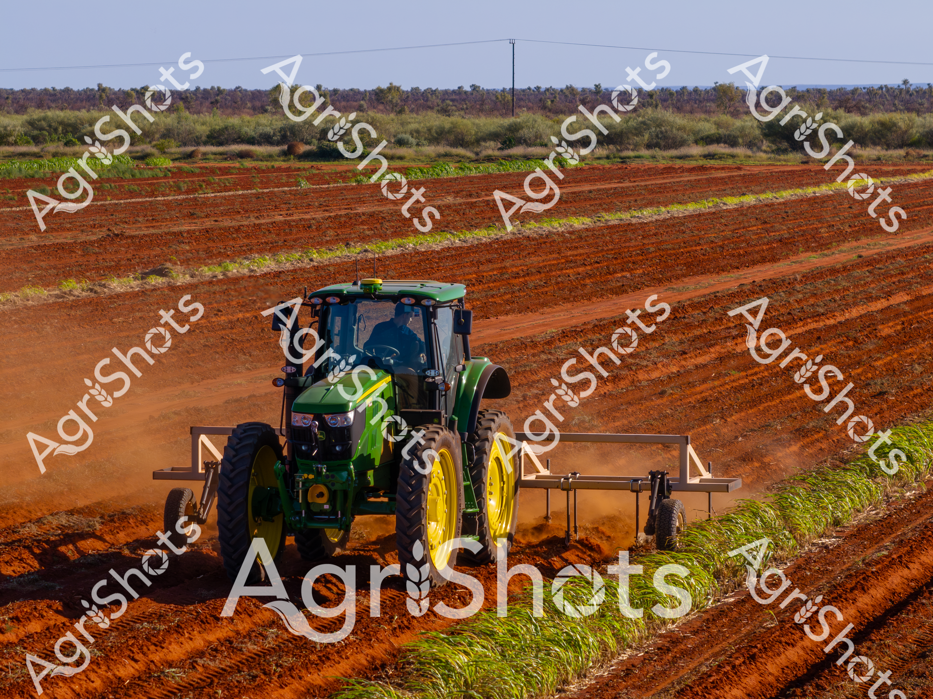 ALMABIN_3692679544_4727542-scaled-watermarked-image-1.png