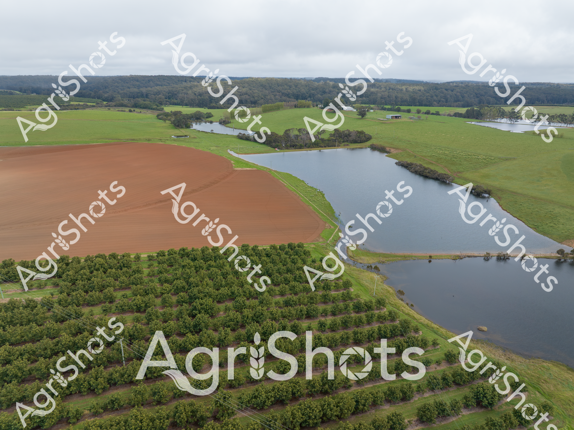 Aerial view of a picturesque agricultural landscape featuring a large water dam, lush green pastures, and a brown plowed field. Rows of orchard trees line the foreground, with multiple water bodies and forested hills in the background, showcasing sustainable farming and water management techniques.