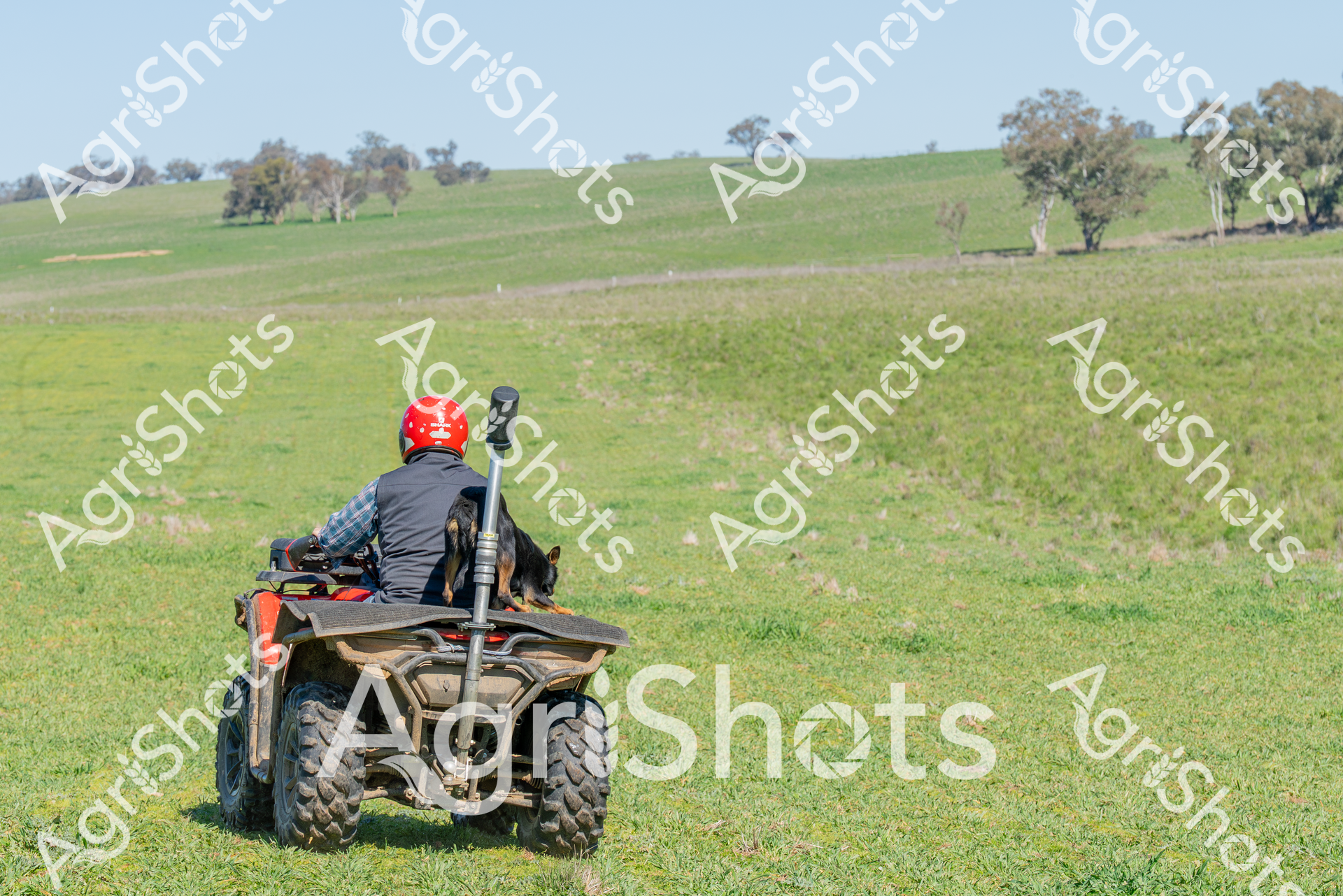 ALMABIN_3890132644_2852142-scaled-watermarked-image-1.png