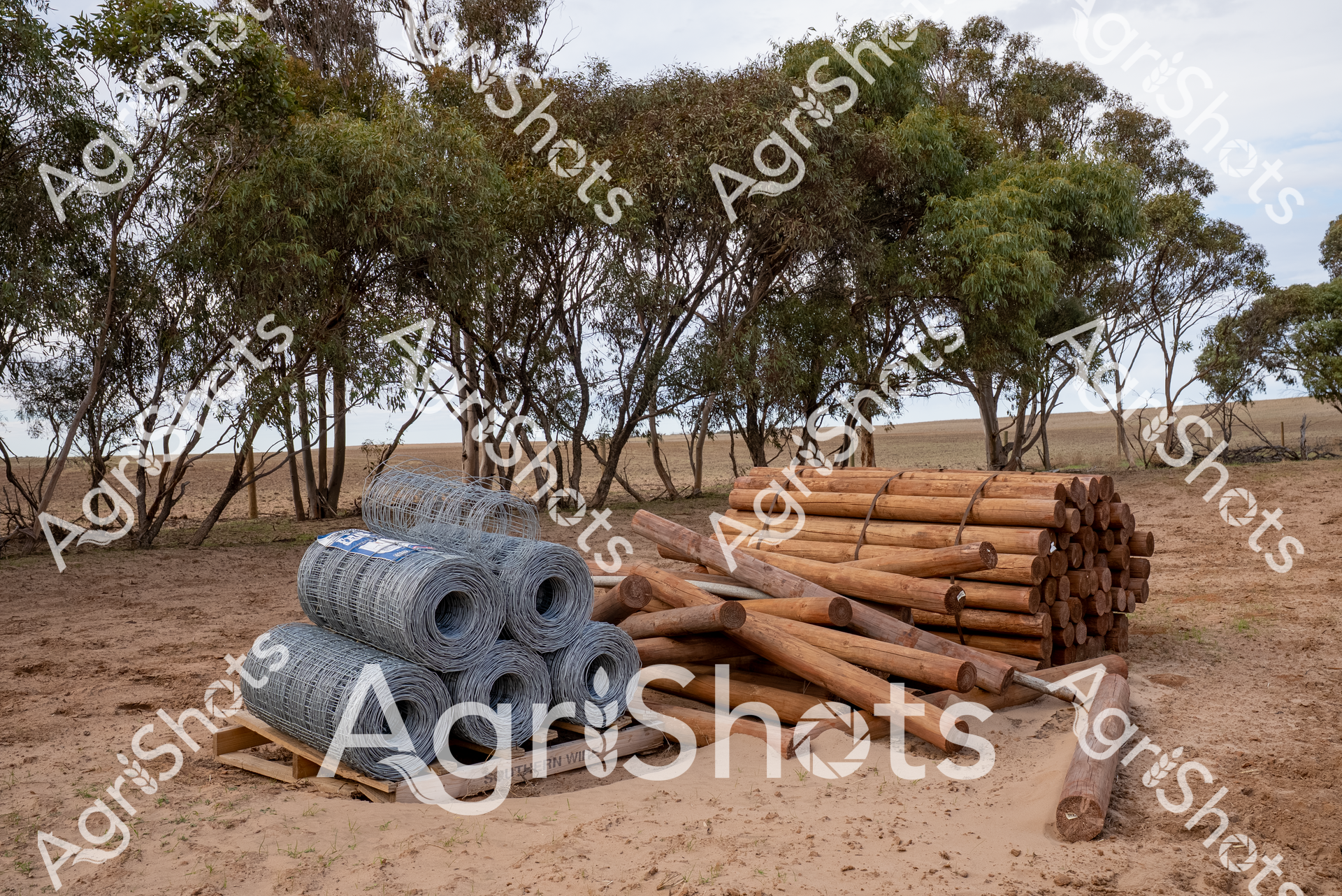 ALMABIN_3931137315_1213310-scaled-watermarked-1.png