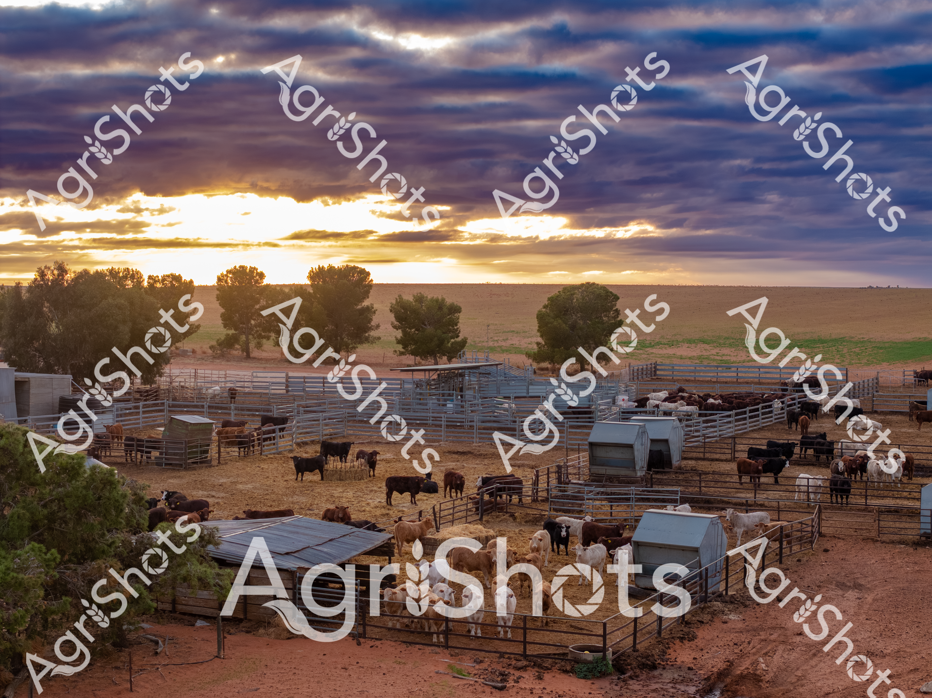 ALMABIN_3996153991_7410442-scaled-watermarked-1.png