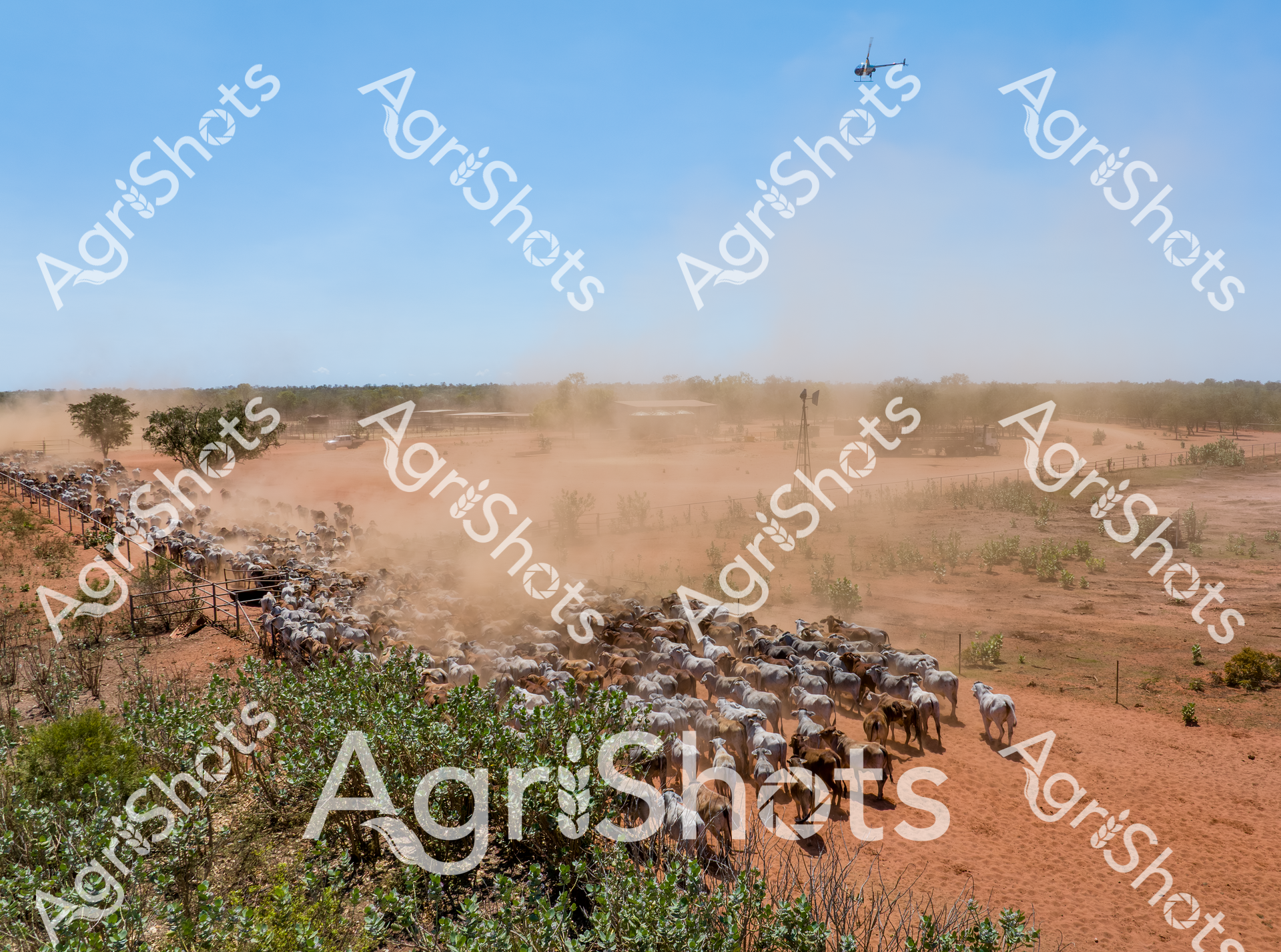 ALMABIN_4459469198_5931670-scaled-watermarked-image-1.png