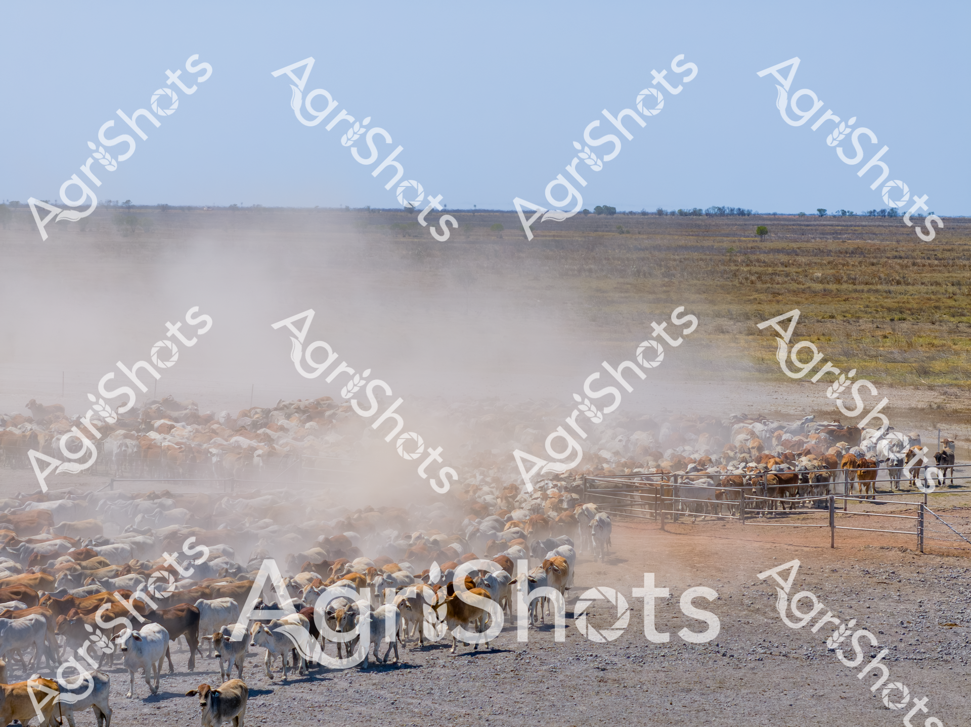 ALMABIN_4561088354_4532593-scaled-watermarked-image-1.png