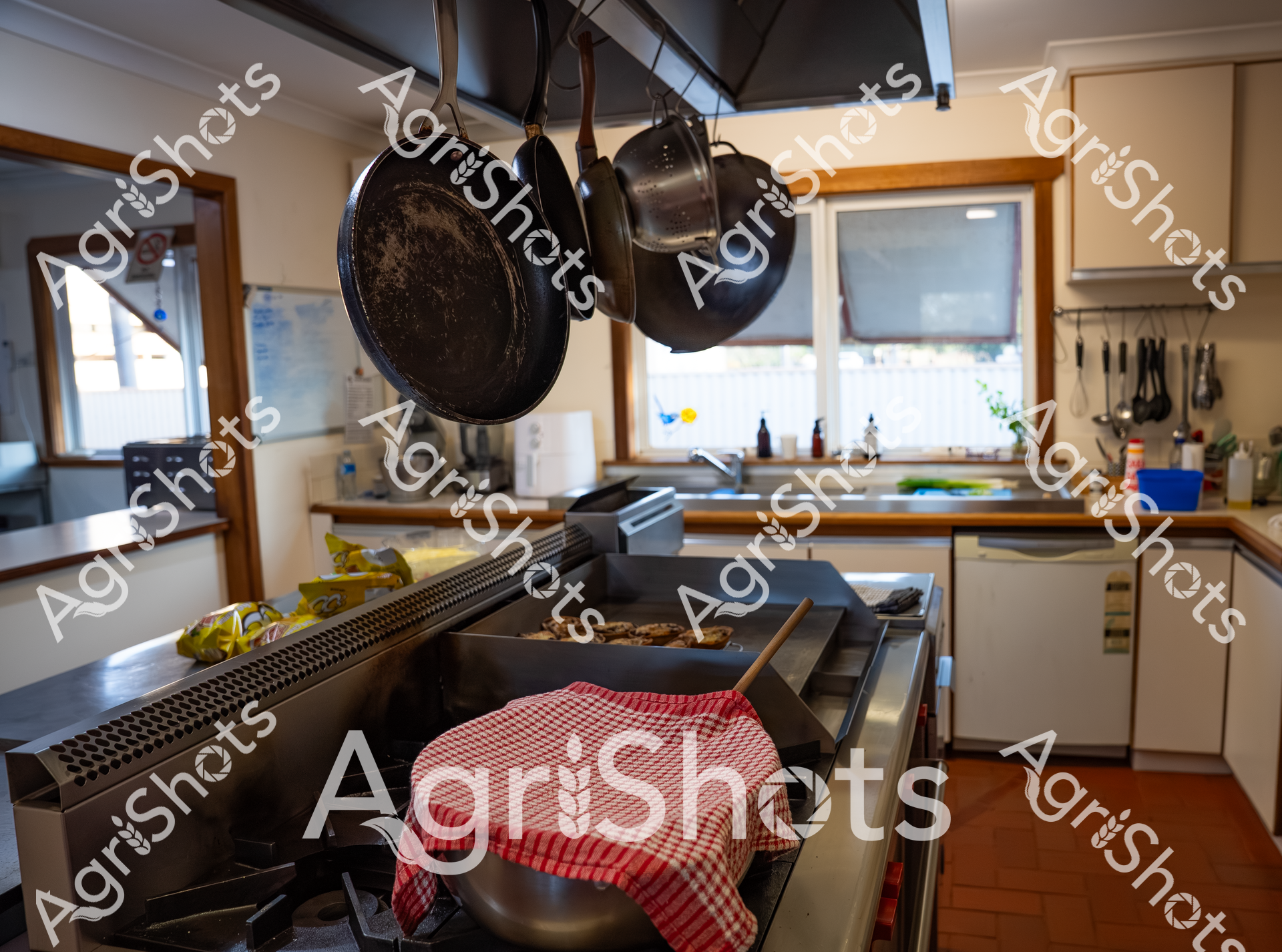 ALMABIN_4611239778_8044676-scaled-watermarked-image-1.png