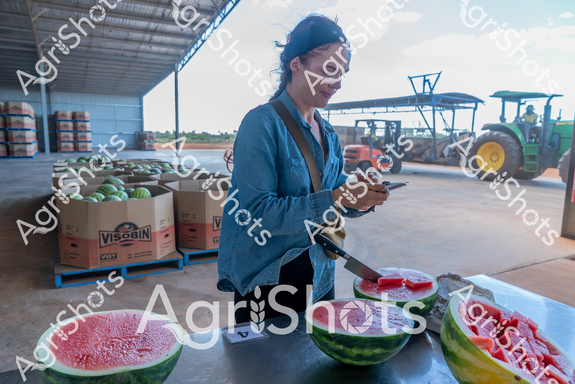 ALMABIN_4694044858_1037124-scaled-watermarked-image-1.png