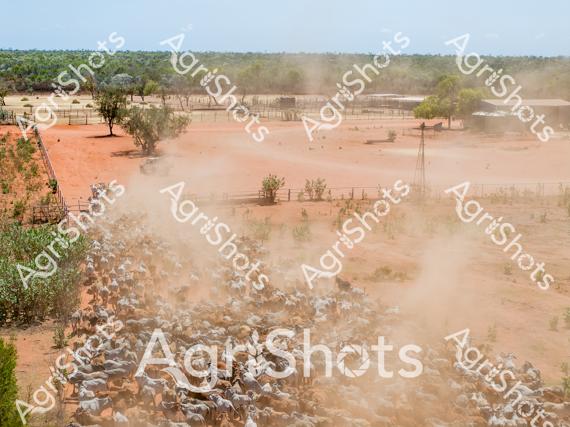 ALMABIN_4703905978_5720068-scaled-watermarked-image-1.png