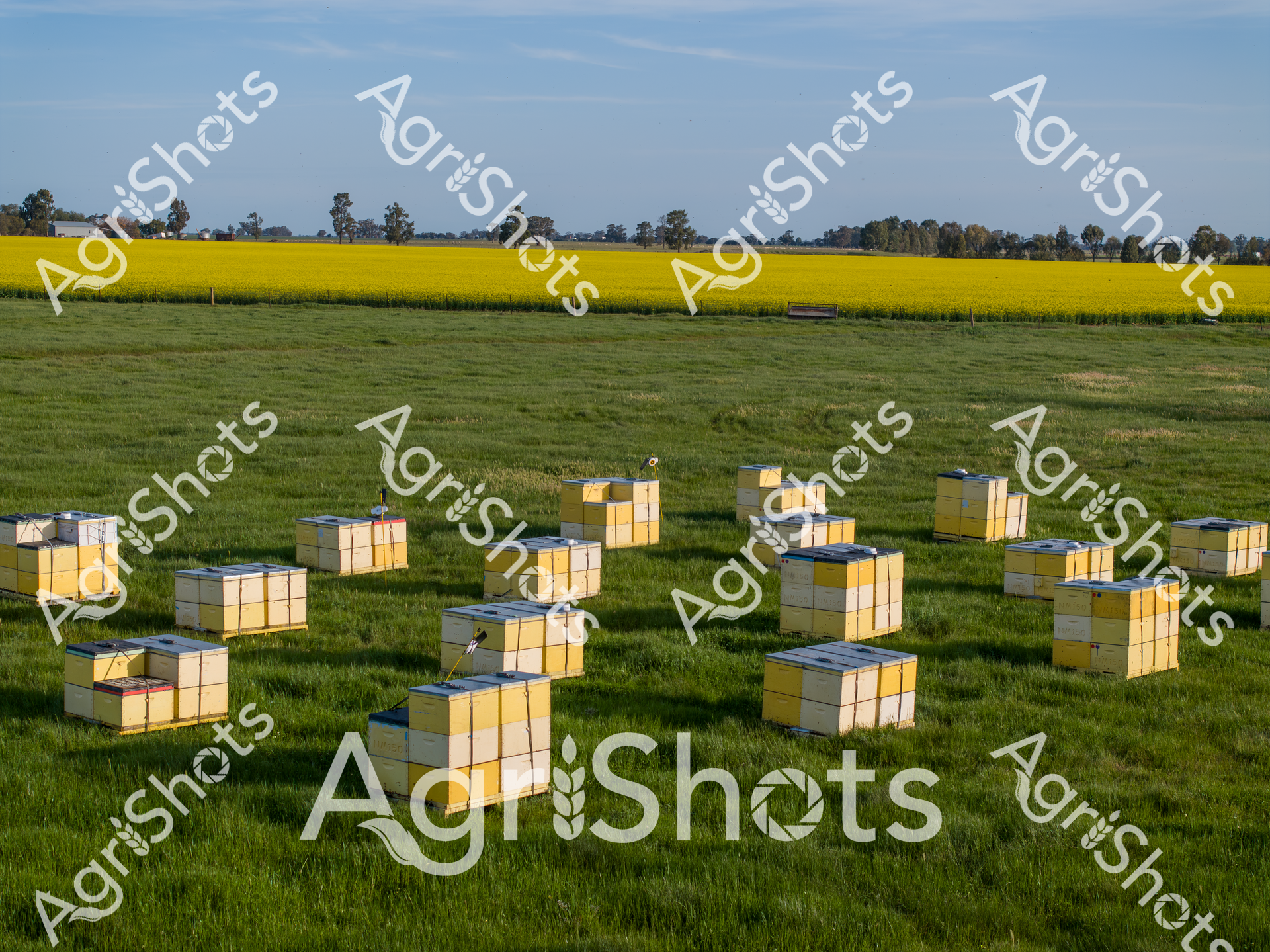 ALMABIN_4741762749_3572412-scaled-watermarked-image-1.png
