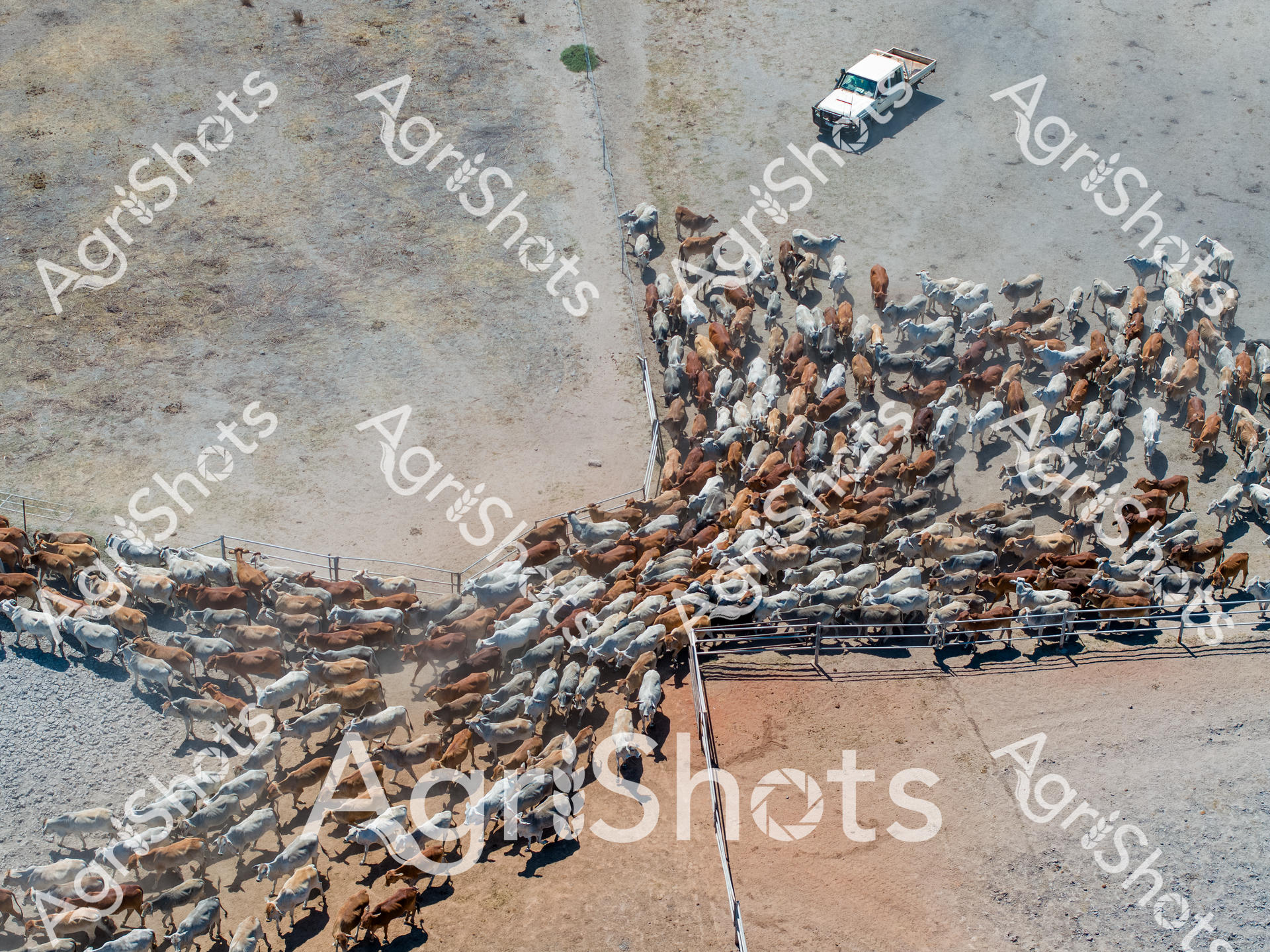 ALMABIN_4772110945_4021382-scaled-watermarked-image-1.png