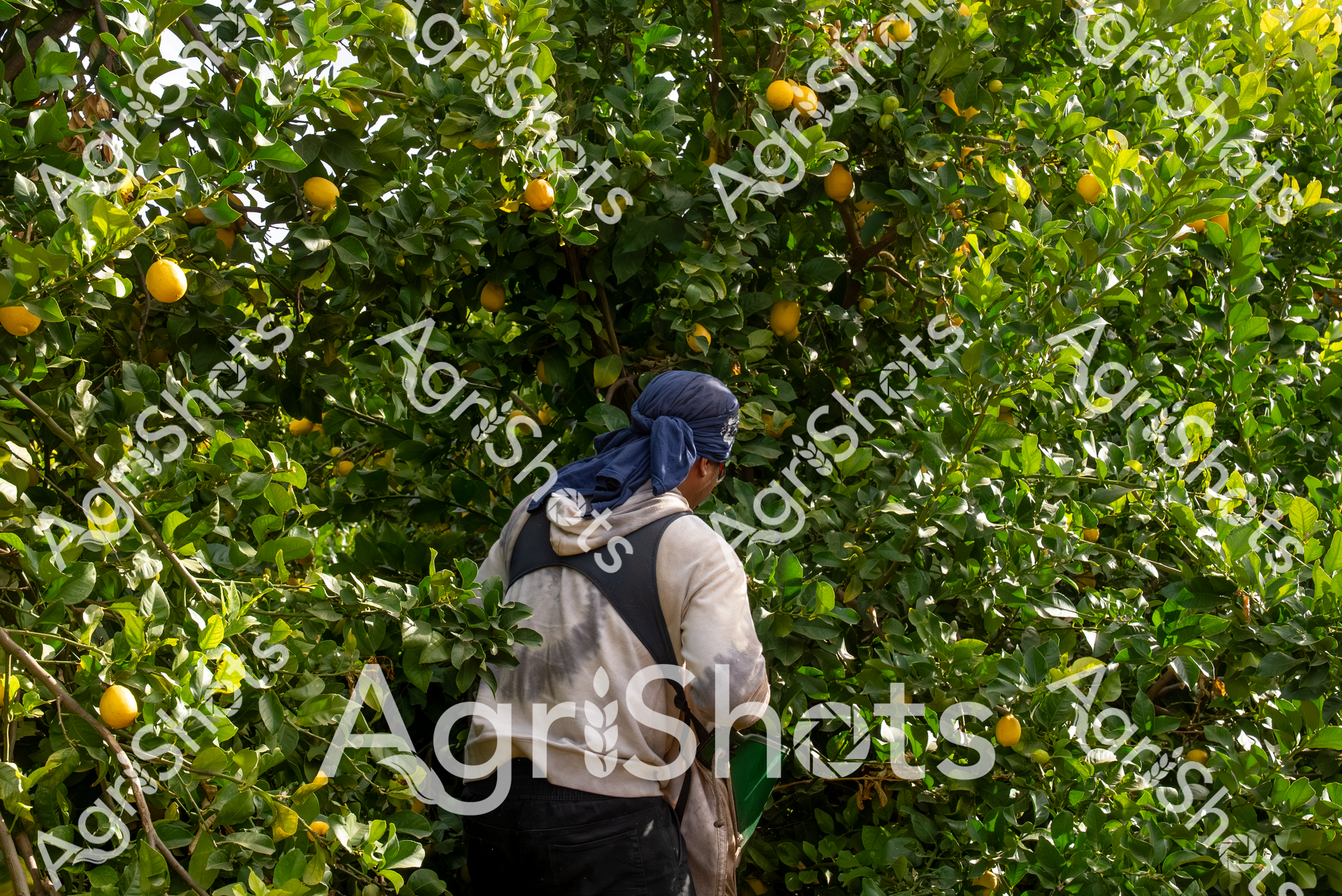 ALMABIN_4803919571_3715171-scaled-watermarked-1.png