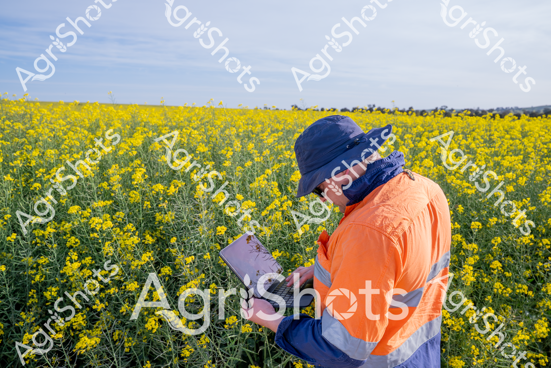 ALMABIN_4931111491_2319974-scaled-watermarked-image-1.png