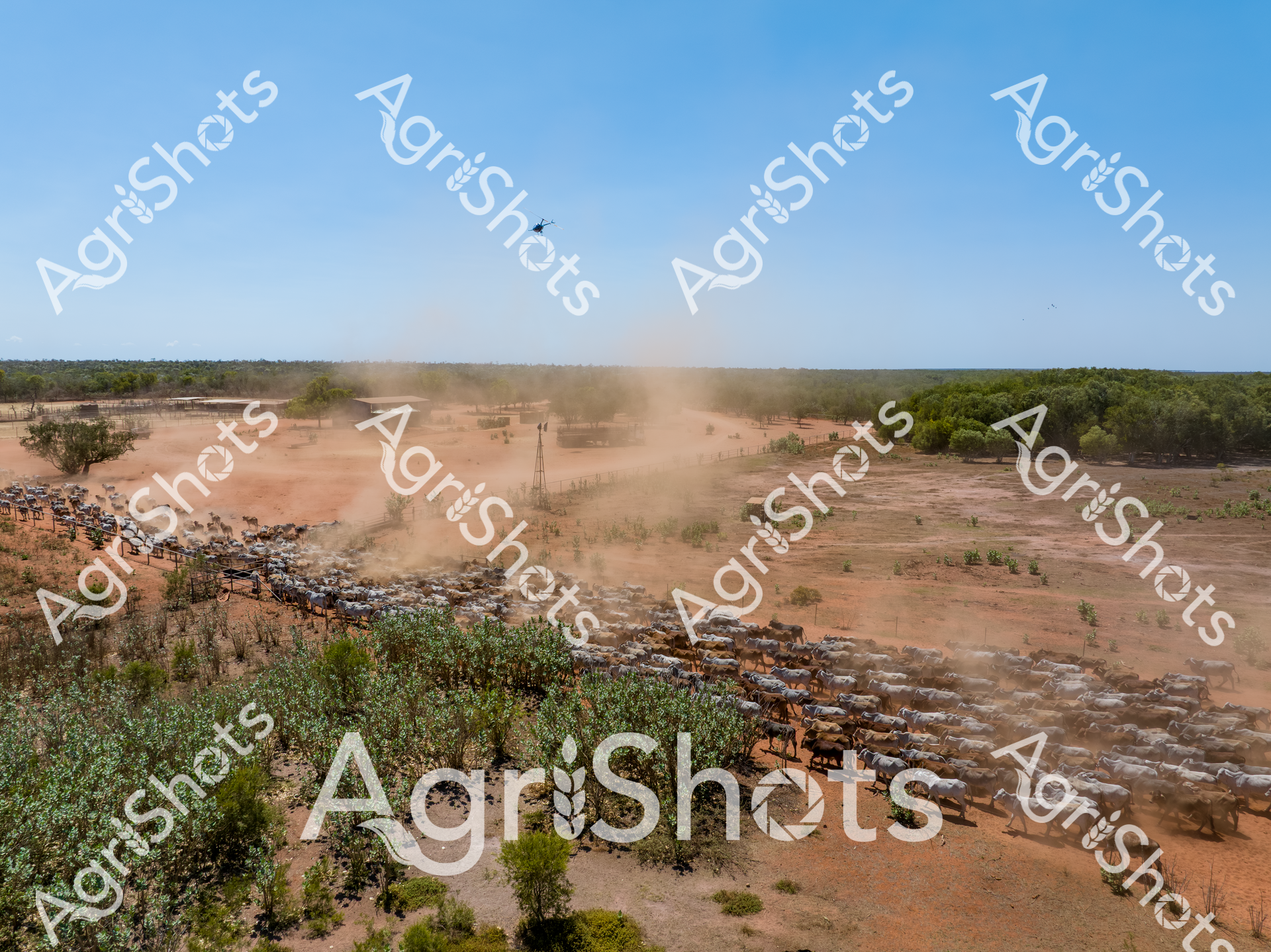 ALMABIN_4993611757_7702142-scaled-watermarked-image-1.png