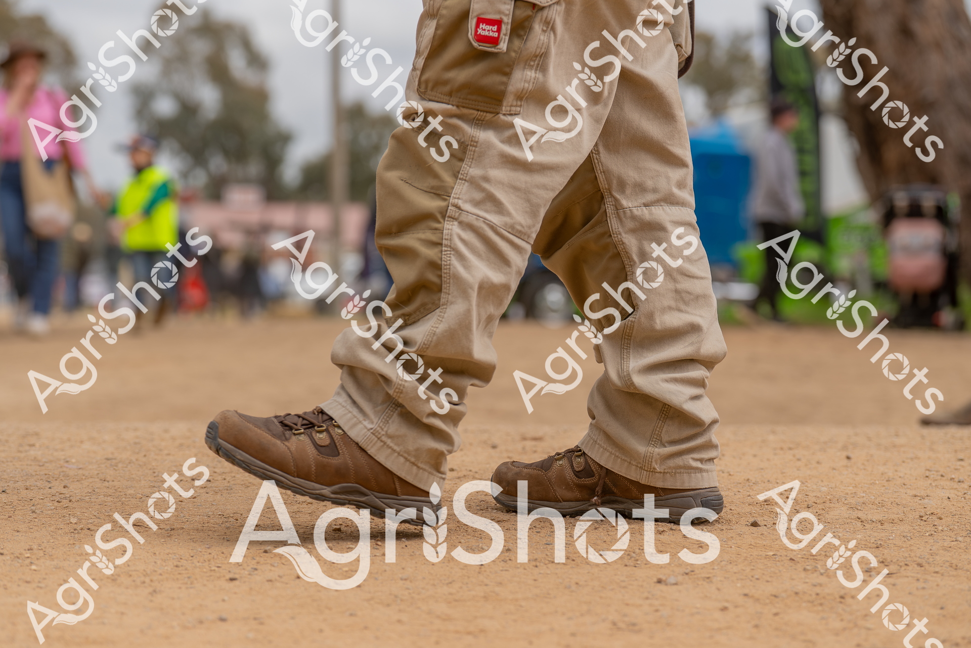 ALMABIN_5125458407_8018543-scaled-watermarked-image-1.png
