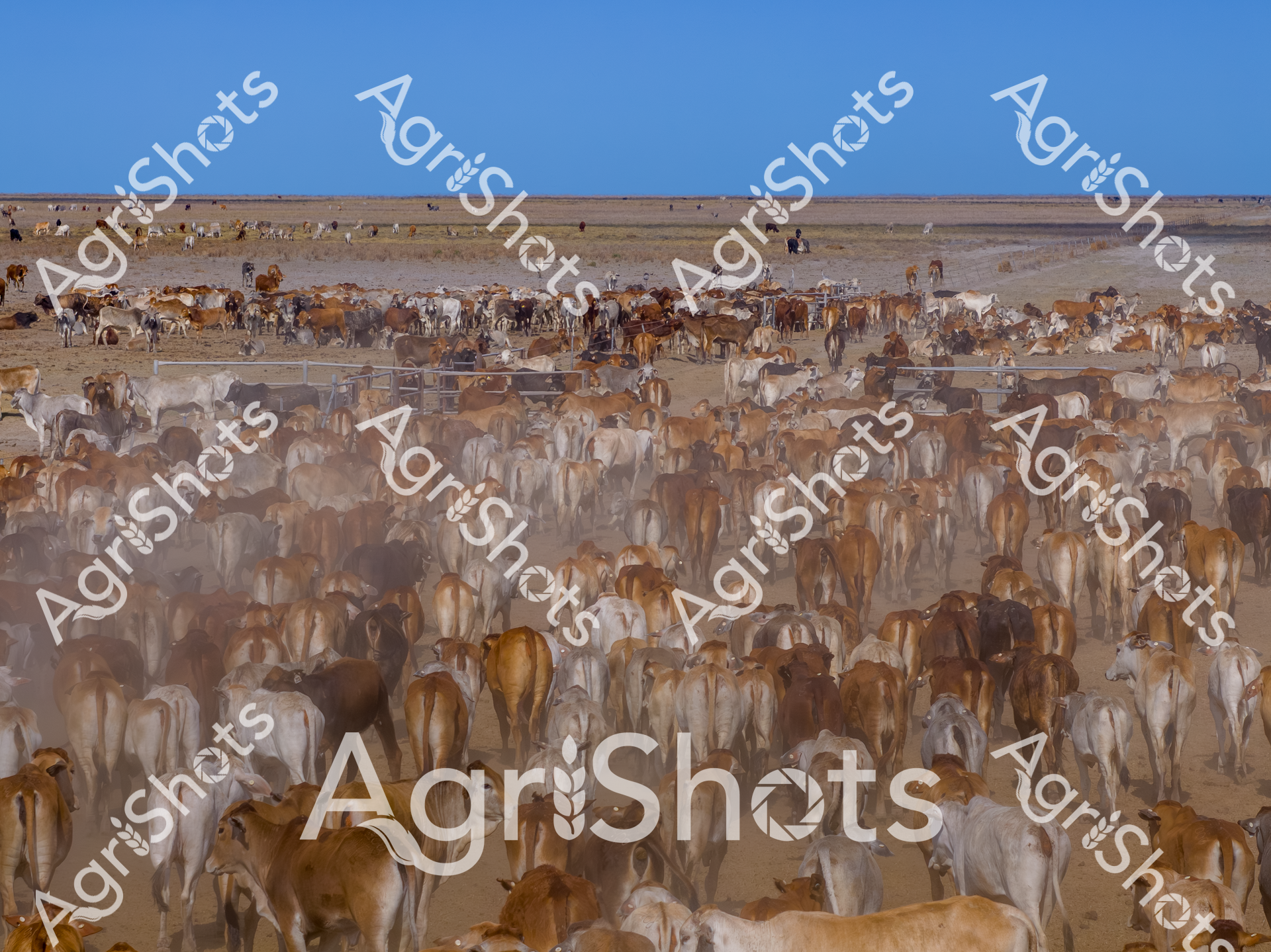 ALMABIN_5347217108_4087535-scaled-watermarked-image-1.png