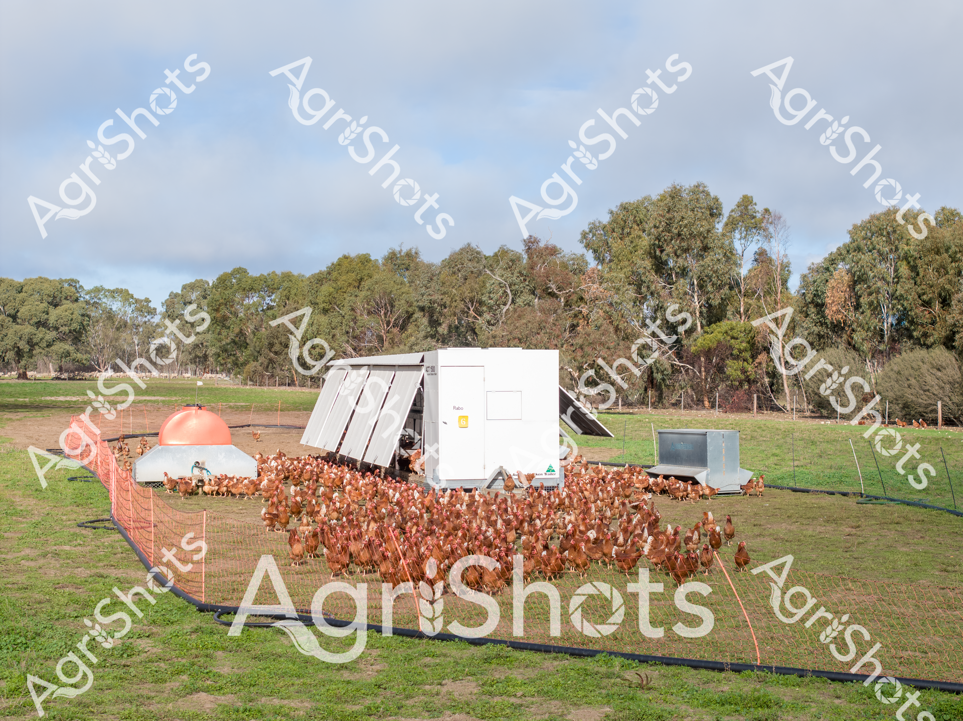 ALMABIN_5418120595_2500428-scaled-watermarked-1.png